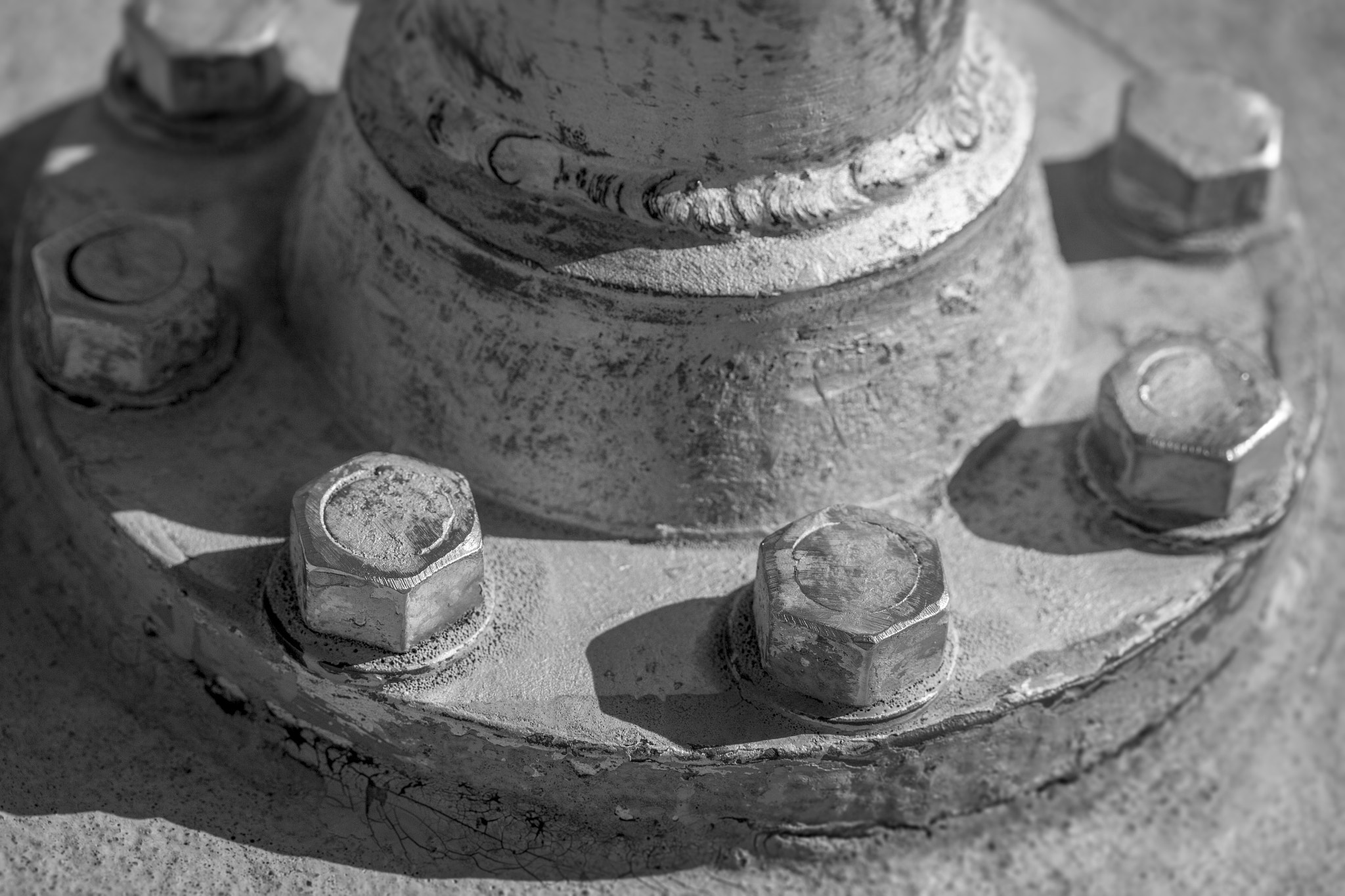 Canon EF-S 60mm F2.8 Macro USM sample photo. Bolts photography