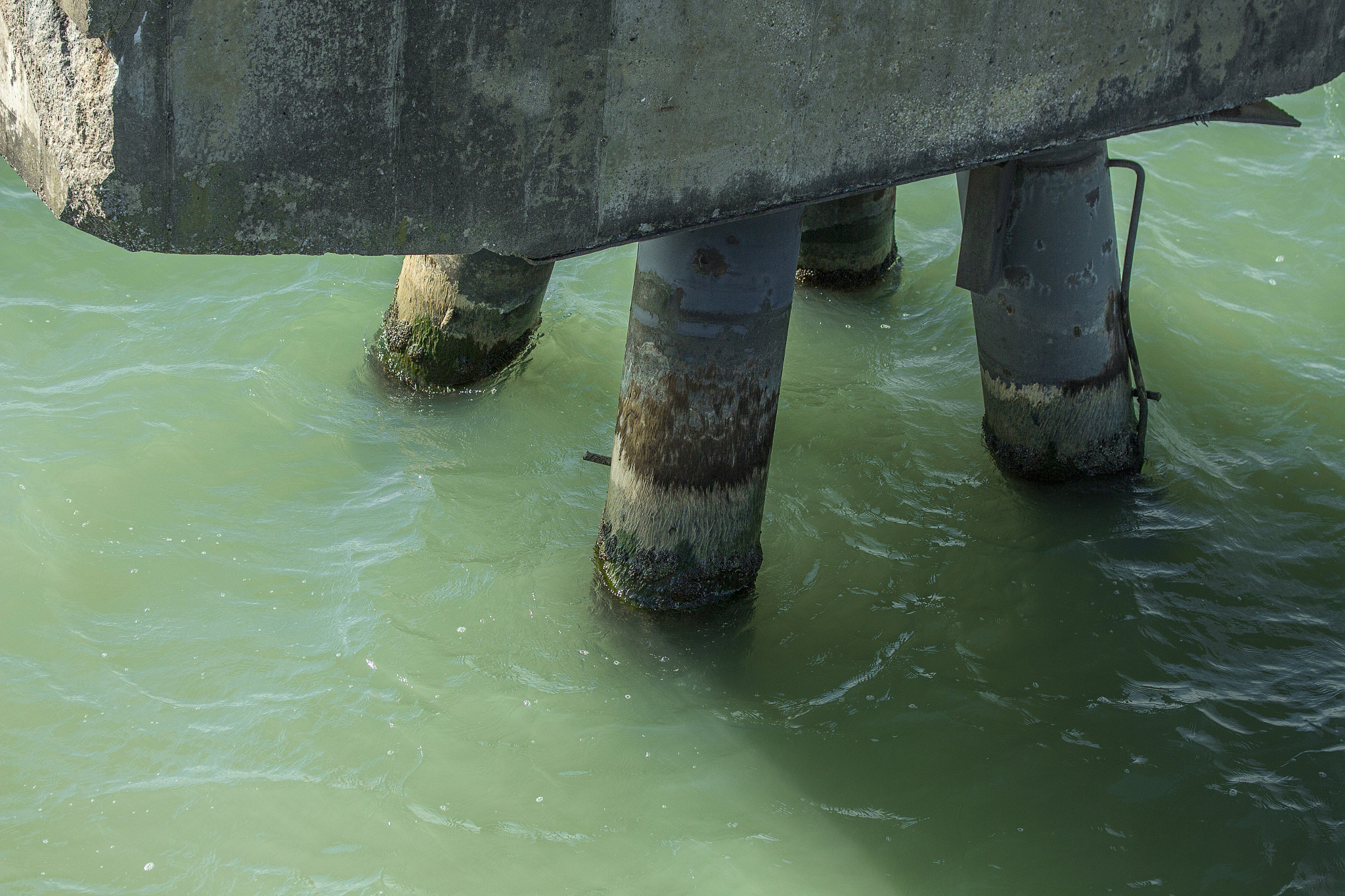 Canon EF-S 60mm F2.8 Macro USM sample photo. The pier photography