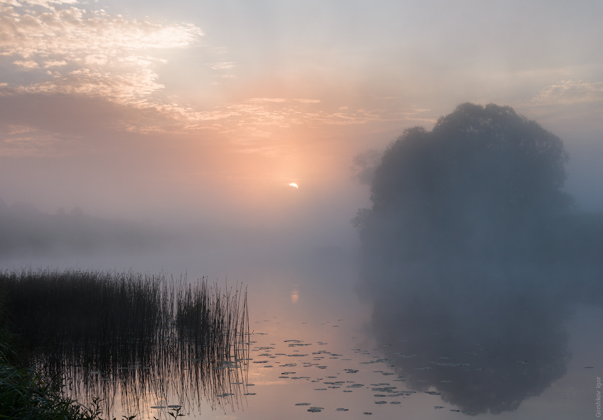 Canon EOS 60D + Tokina AF-X Pro 16-50mm F2.8 DX sample photo. Misty sunrise on the river photography