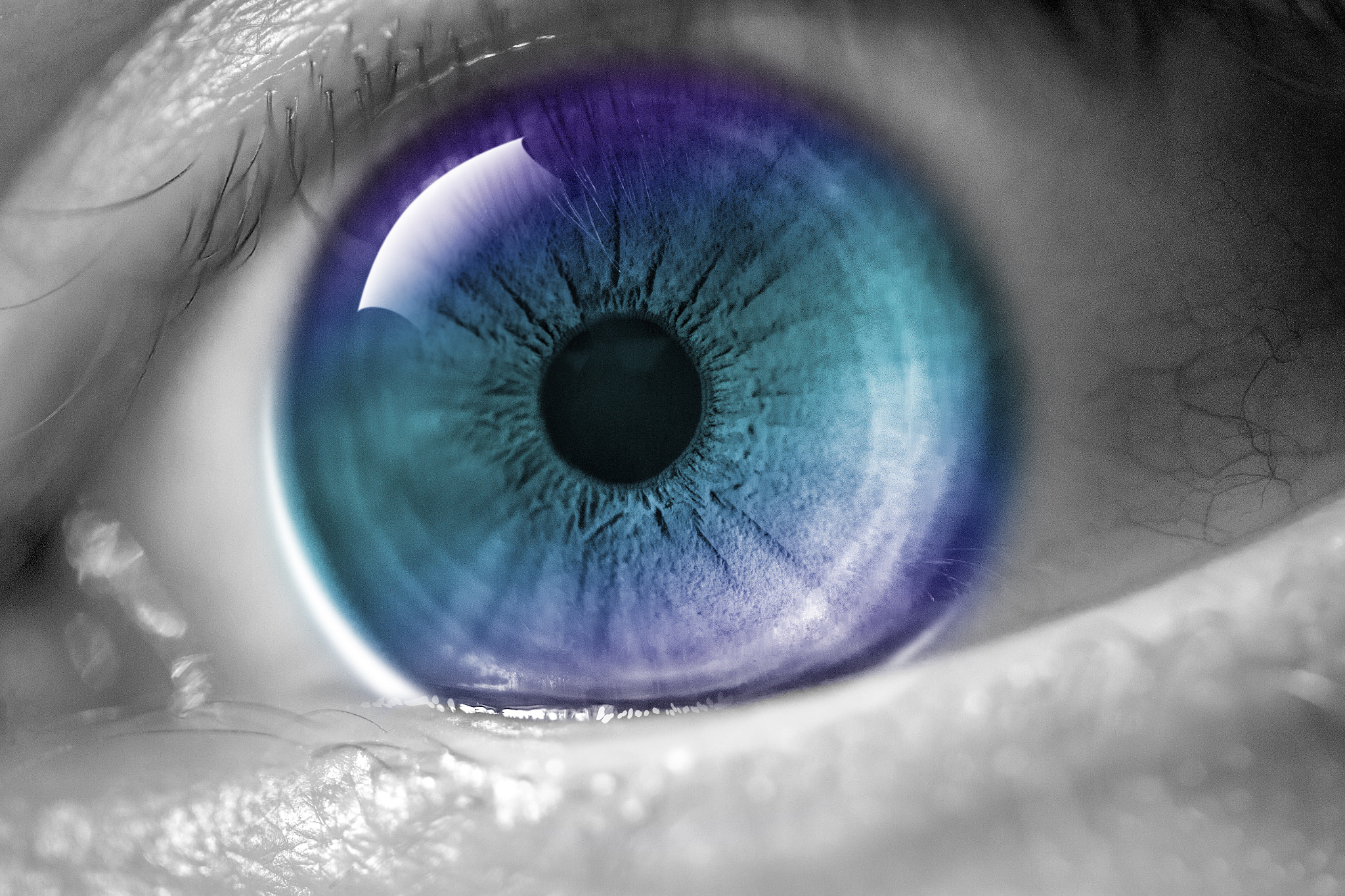 Canon EF-S 60mm F2.8 Macro USM sample photo. Macro eye blue photography