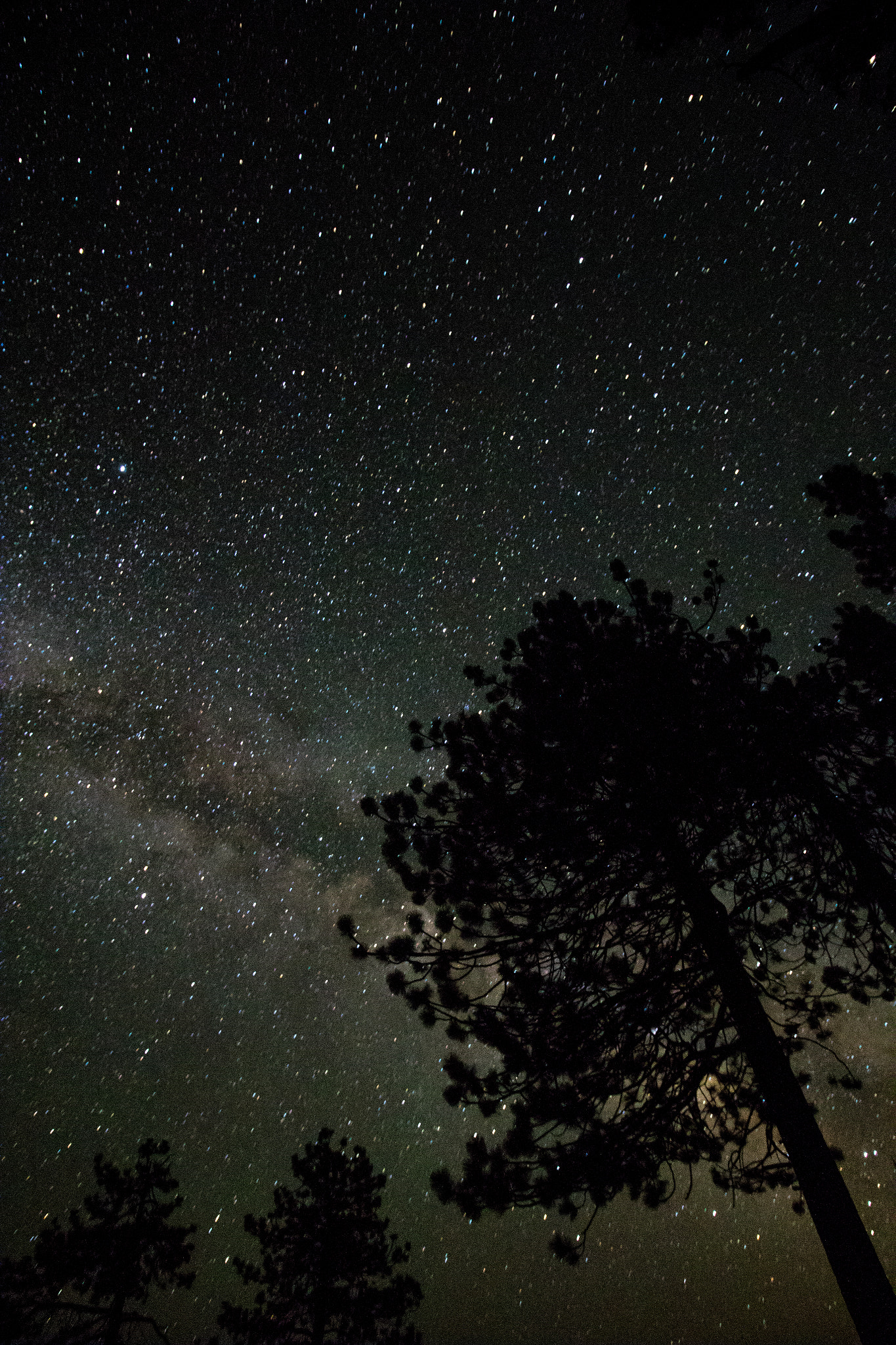 Canon EF-S 10-18mm F4.5–5.6 IS STM sample photo. Milky way photography