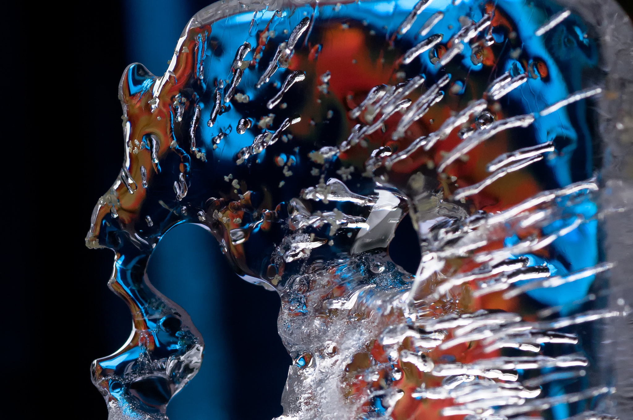 Sigma 105mm F2.8 EX DG Macro sample photo. Agony and ecstasy photography