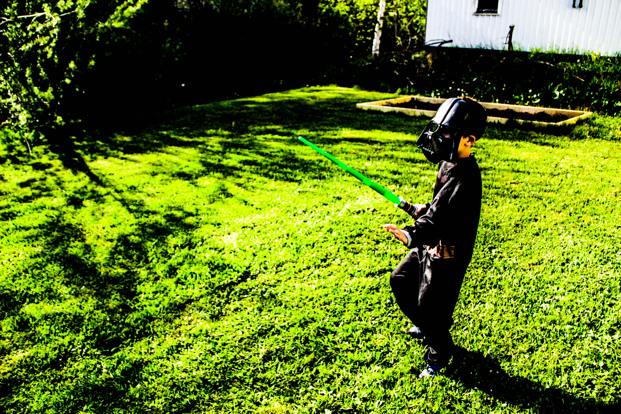 Canon EOS 100D (EOS Rebel SL1 / EOS Kiss X7) sample photo. May the th be with you photography