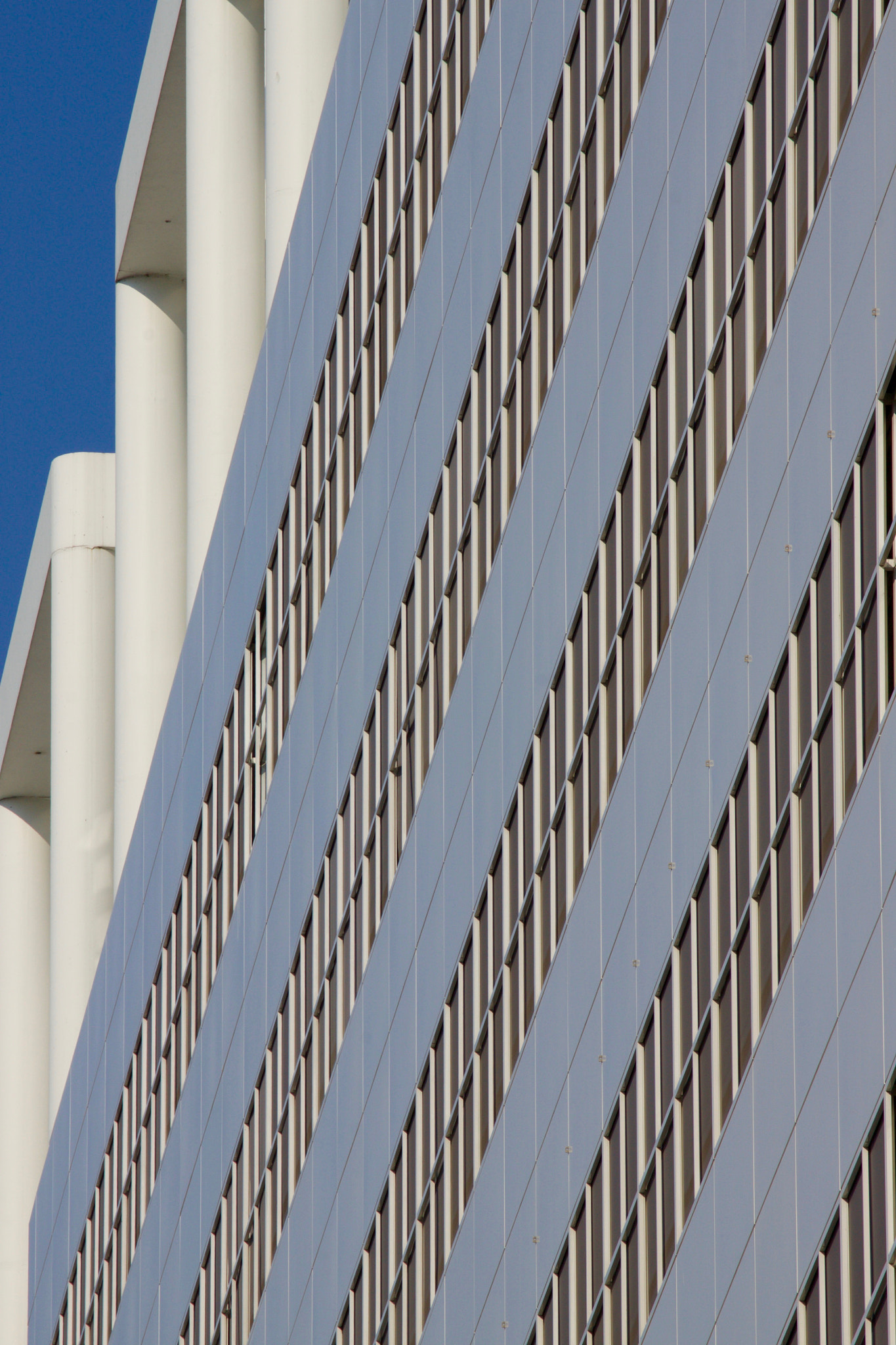 Canon EF 70-300mm F4-5.6L IS USM sample photo. Blue sky photography