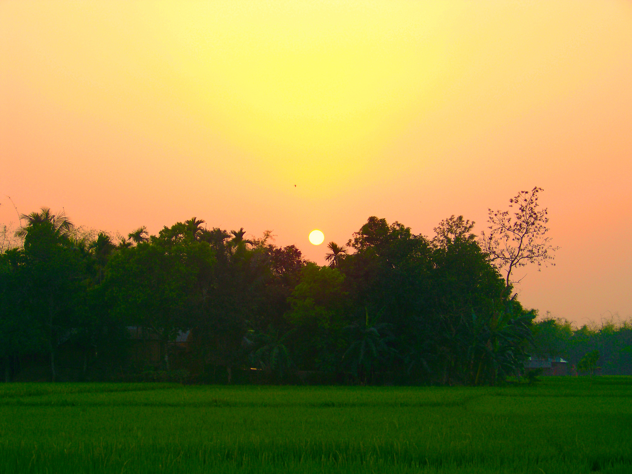 Kodak EASYSHARE Z1012 IS DIGITAL CAMERA sample photo. Vibrant sunset photography