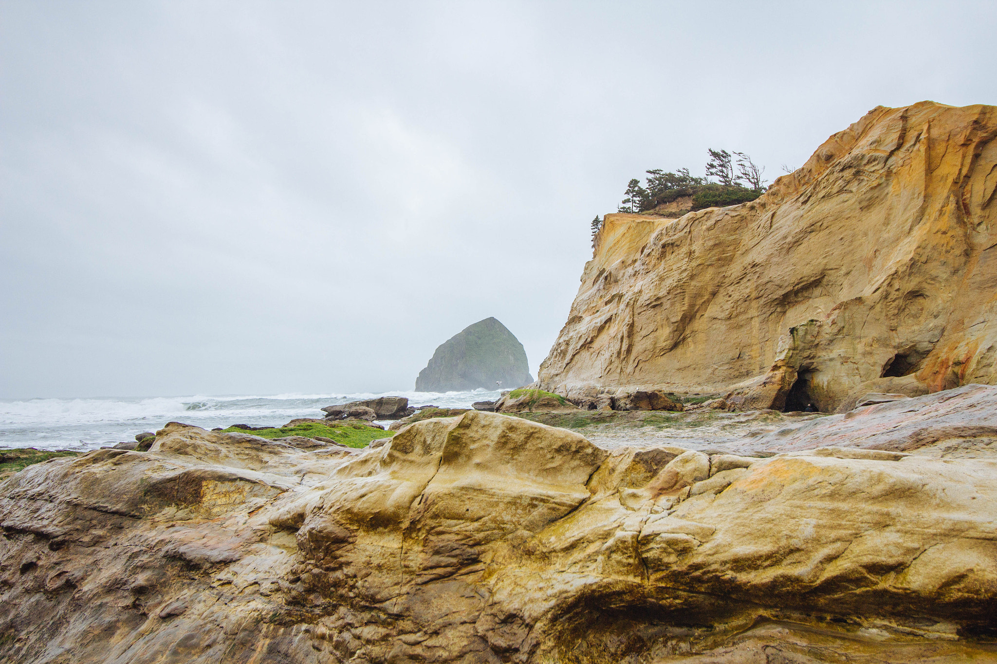 Canon EF-S 10-18mm F4.5–5.6 IS STM sample photo. Cape kiwanda photography