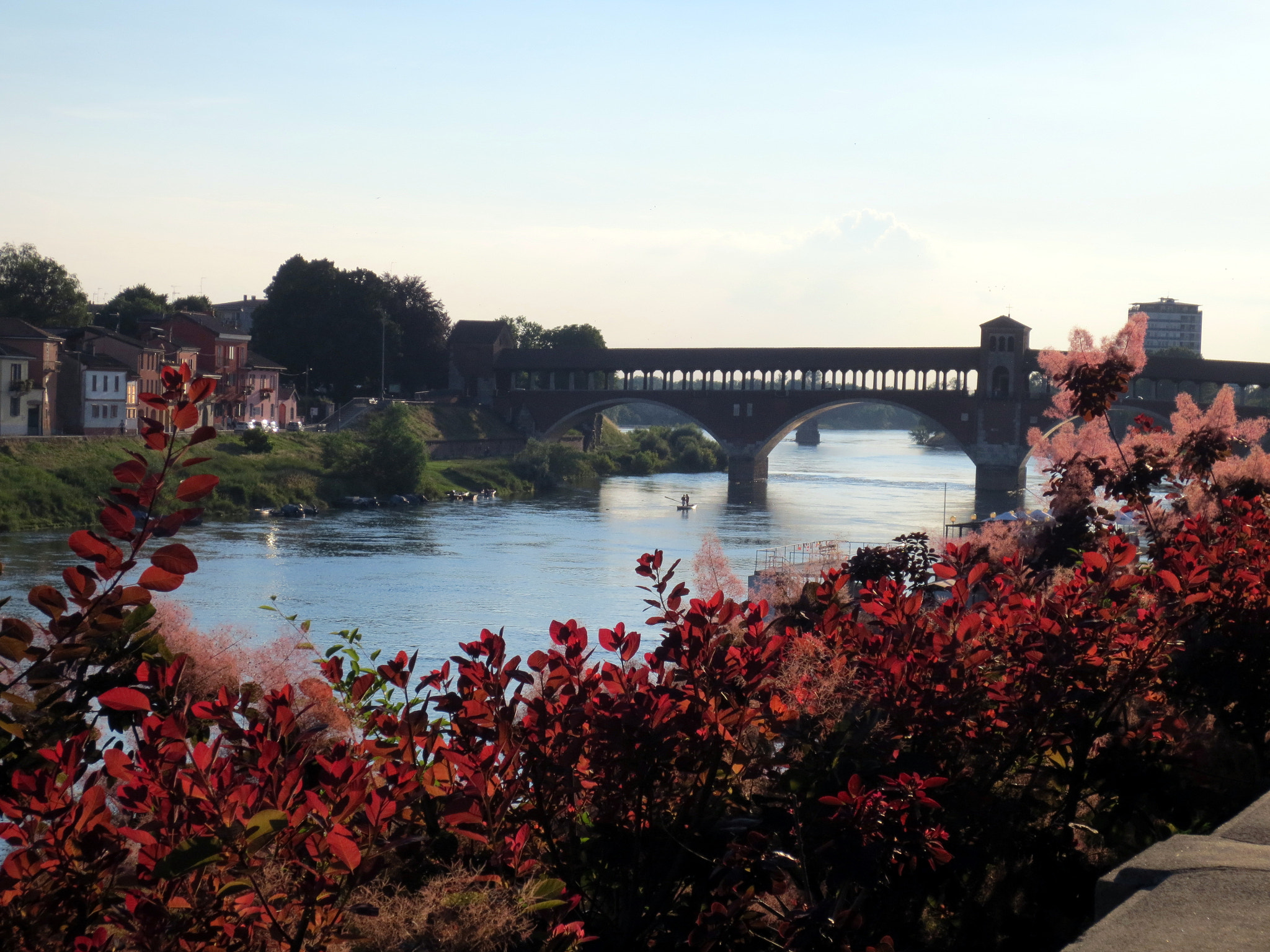 Canon PowerShot ELPH 110HS (PowerShot IXUS 125 HS) sample photo. Il ponte sullo sfondo photography