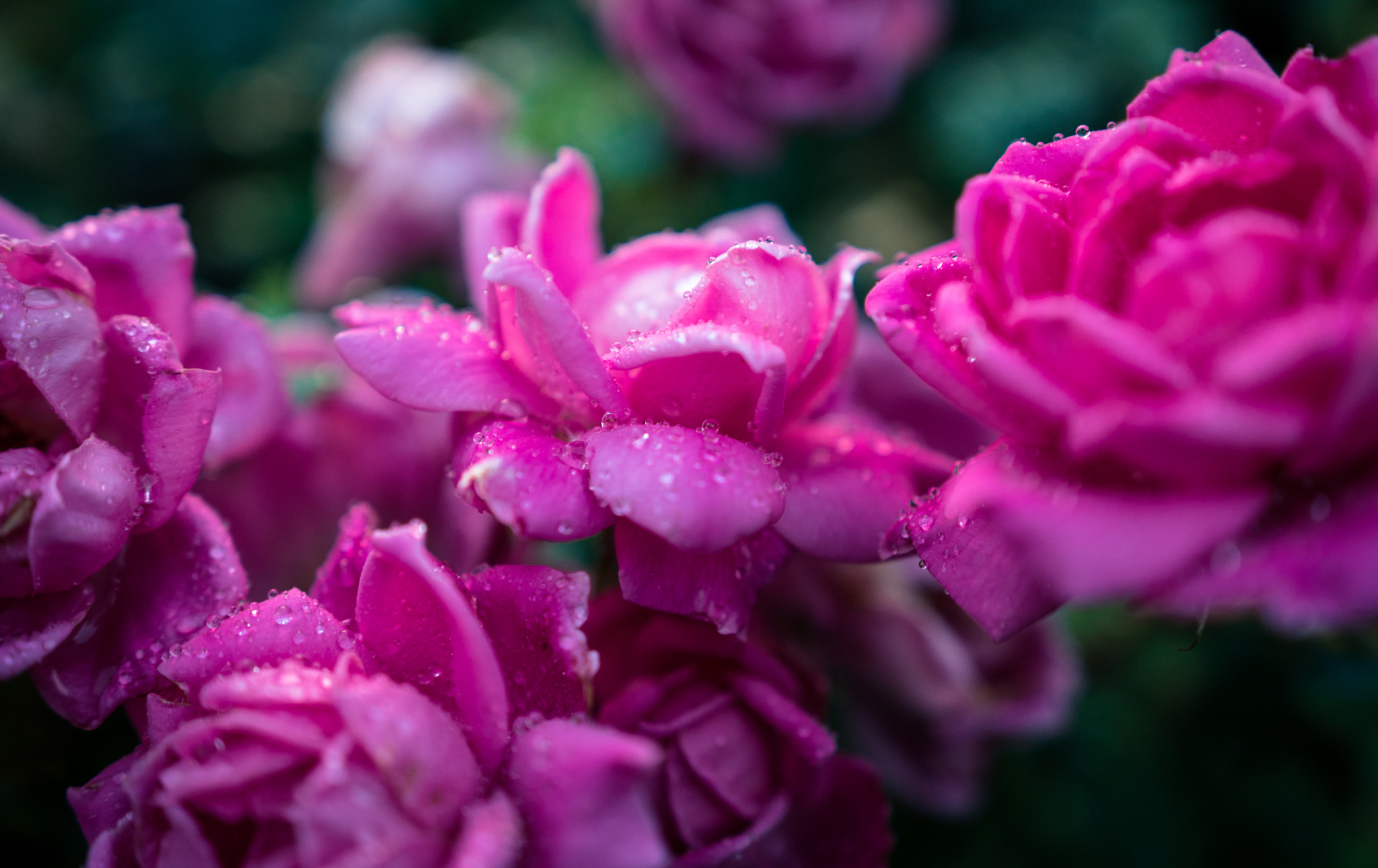 Sony a6300 + 18-35mm F1.8 DC HSM | Art 013 sample photo. Rainy day photography