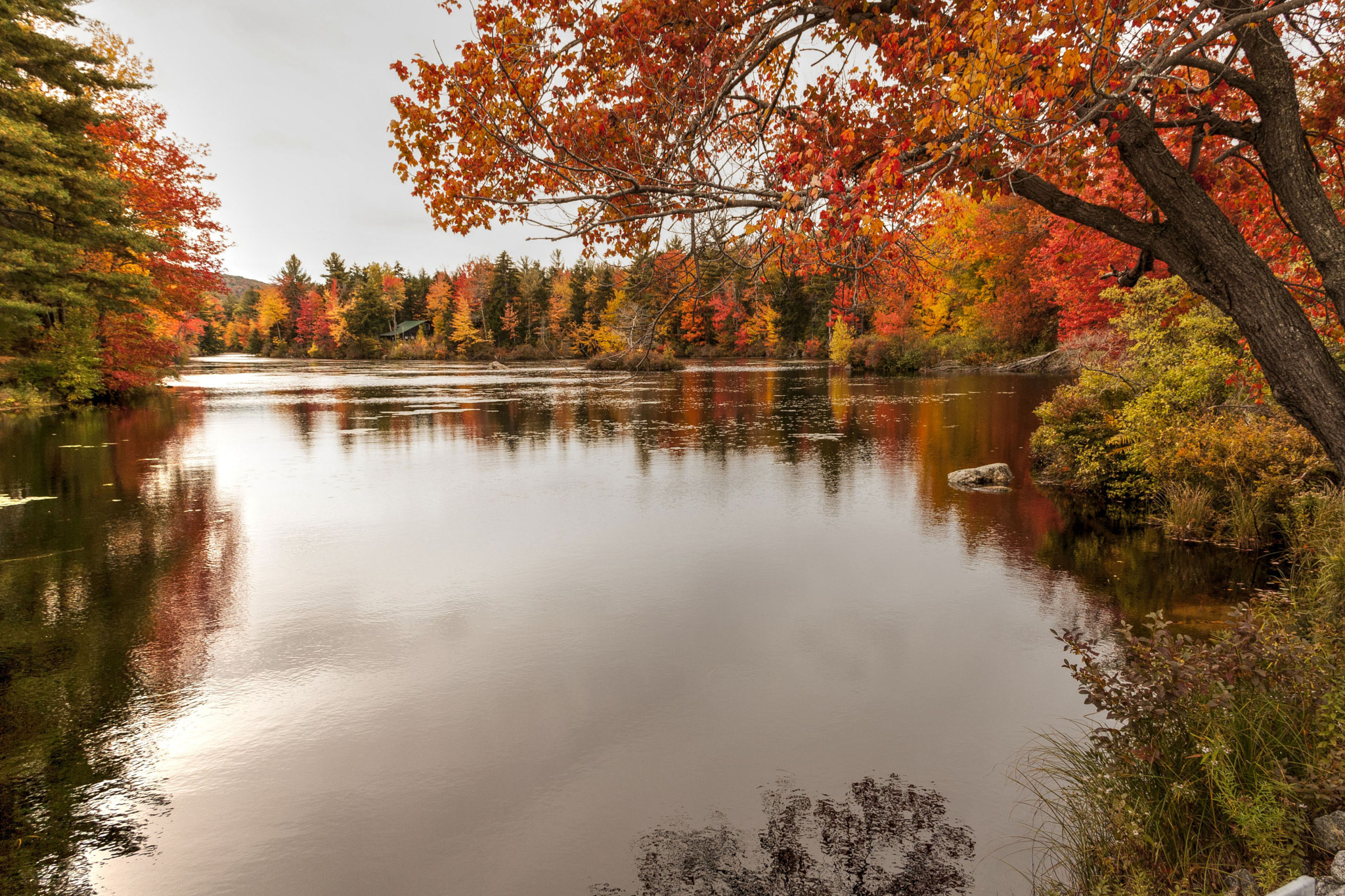 Canon EOS 1000D (EOS Digital Rebel XS / EOS Kiss F) sample photo. Beautiful fall view in nh balanced photography