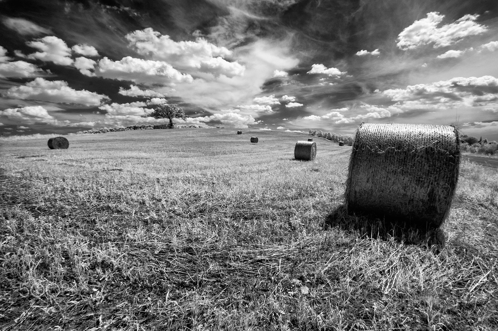 Nikon D70 + Sigma 10-20mm F3.5 EX DC HSM sample photo. Tuscany photography