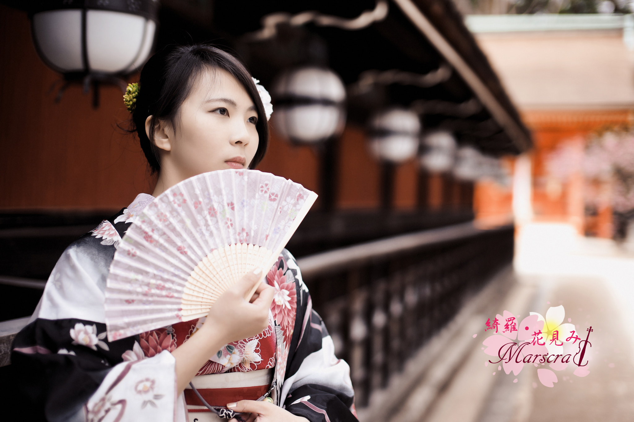 Sony a99 II + Minolta AF 50mm F1.4 [New] sample photo. Aeo photography