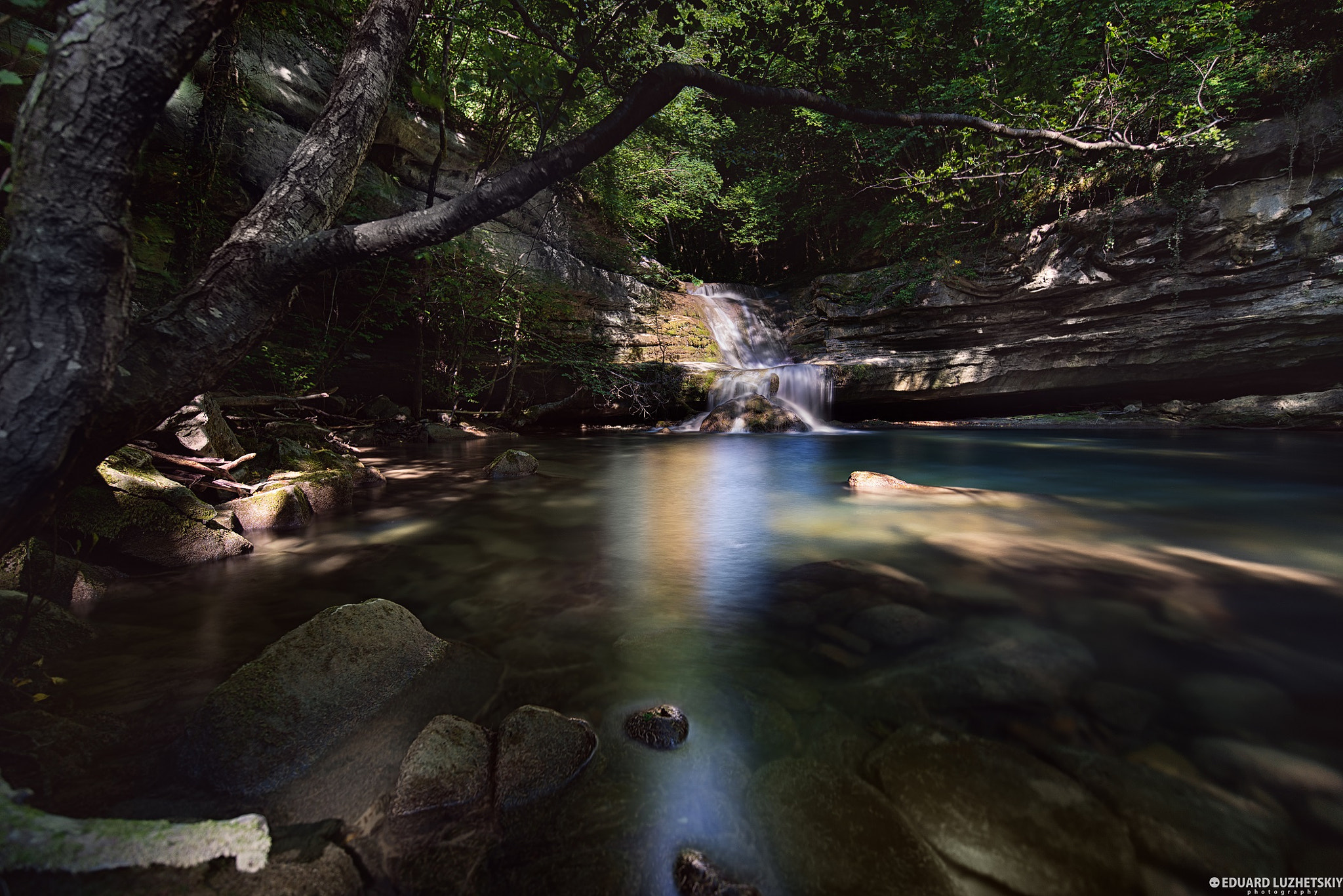 Tamron SP 15-30mm F2.8 Di VC USD sample photo. Peace of forest photography