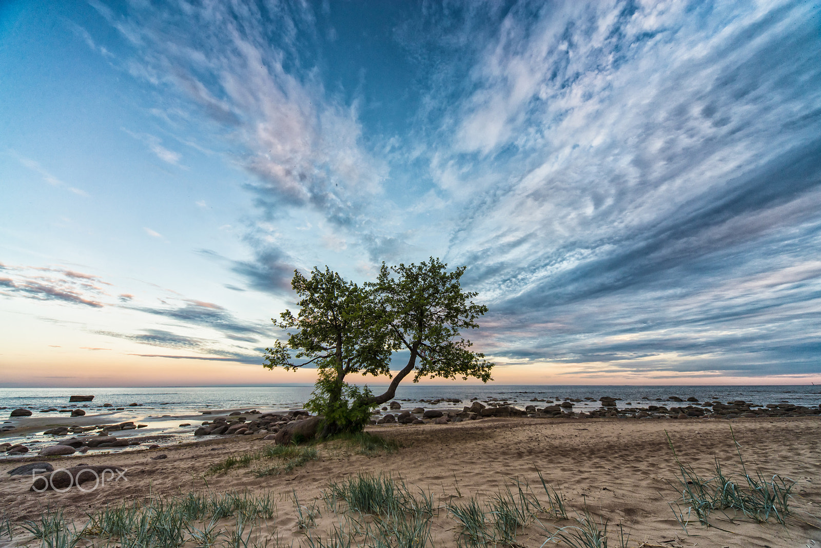 Nikon D600 + Sigma 12-24mm F4.5-5.6 EX DG Aspherical HSM sample photo. July evening photography