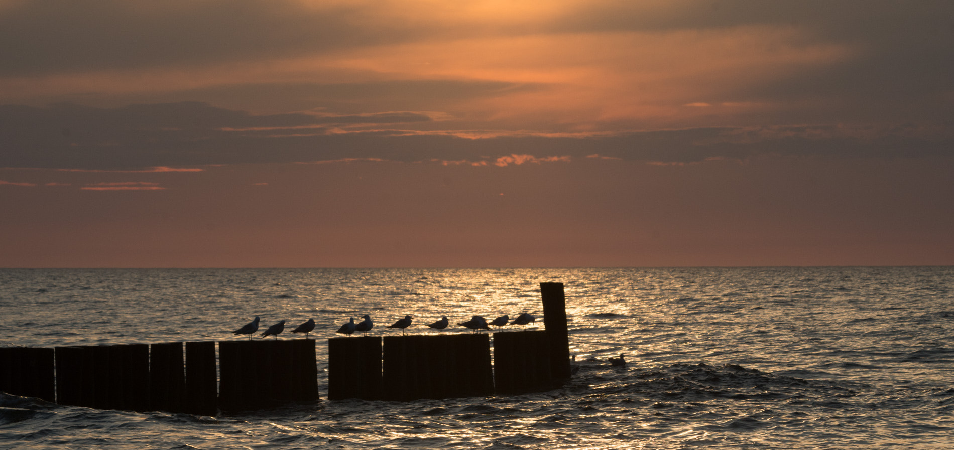 Pentax K-50 + Sigma sample photo. Wind from the west photography