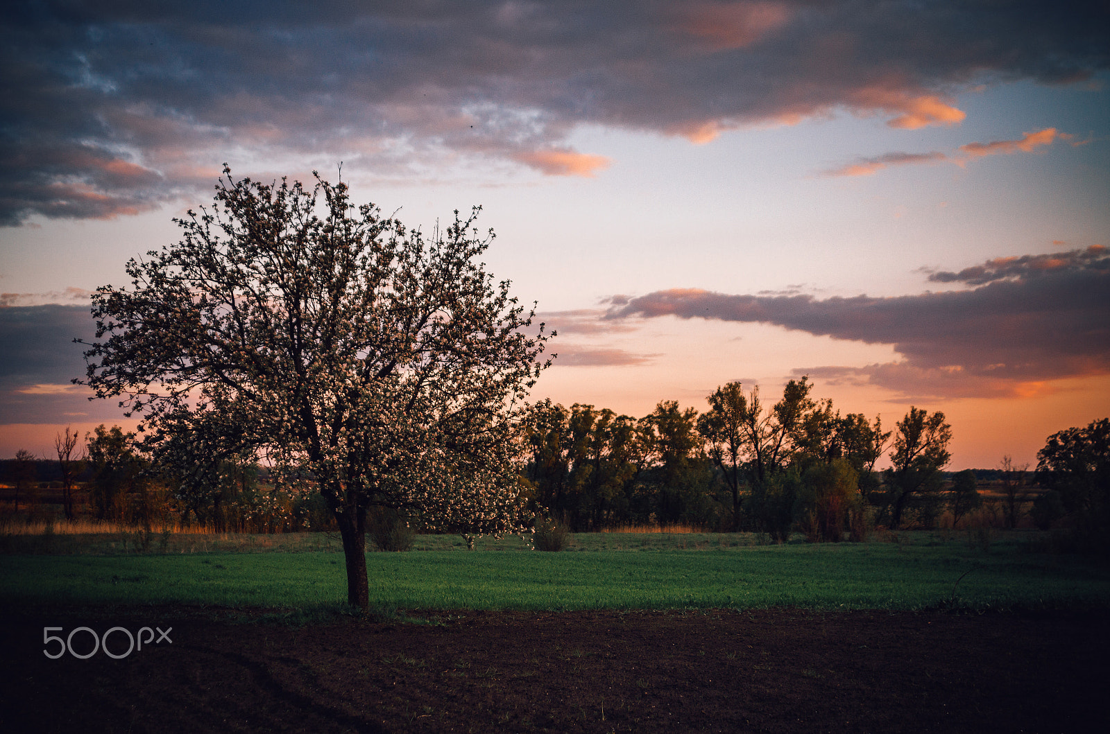 Nikon D5100 + Sigma 28-105mm F2.8-4 Aspherical sample photo. Sunset photography