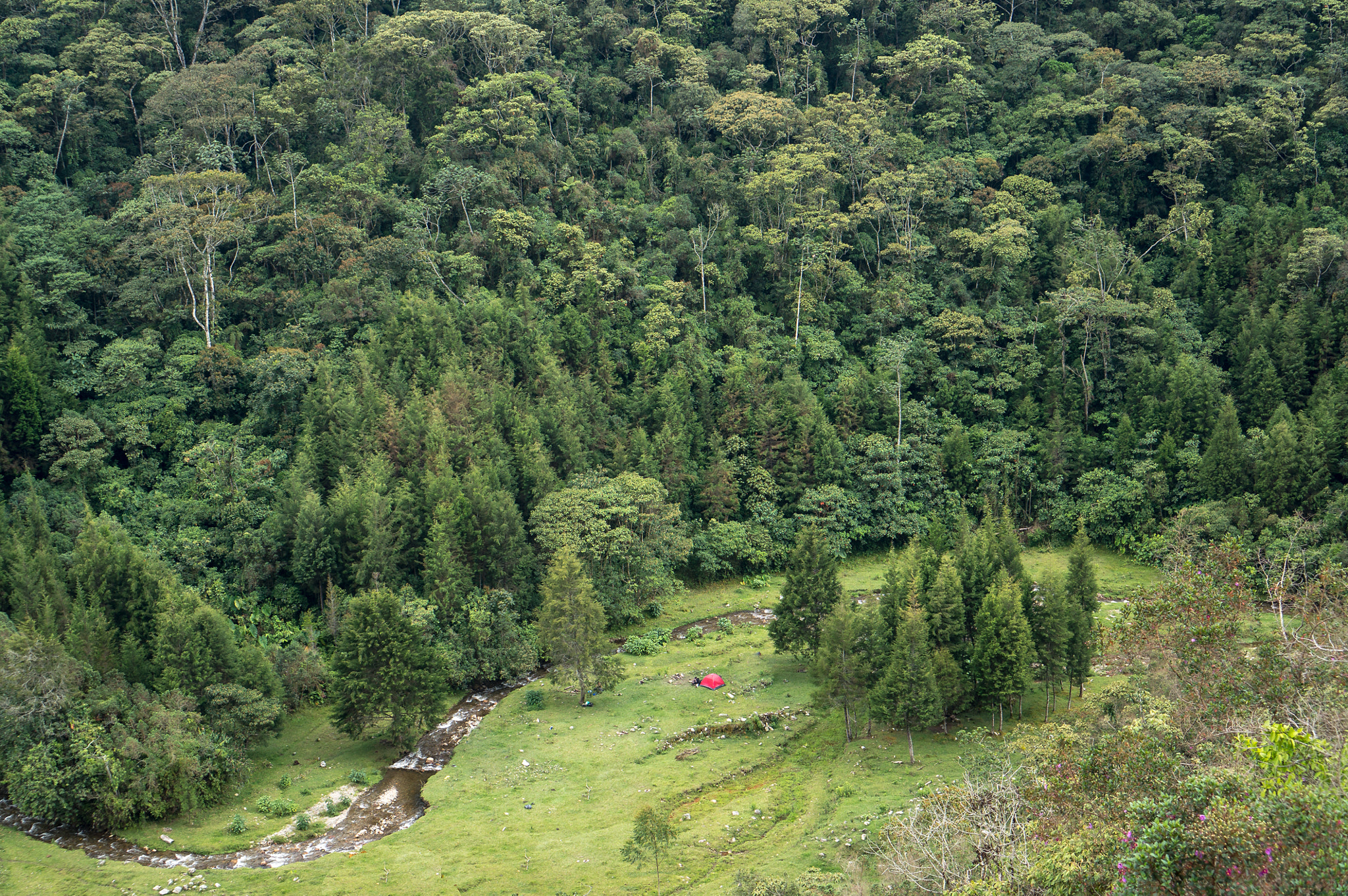 Sony Alpha NEX-6 + Sony E 35mm F1.8 OSS sample photo. Camping at the river medellin, colombia photography