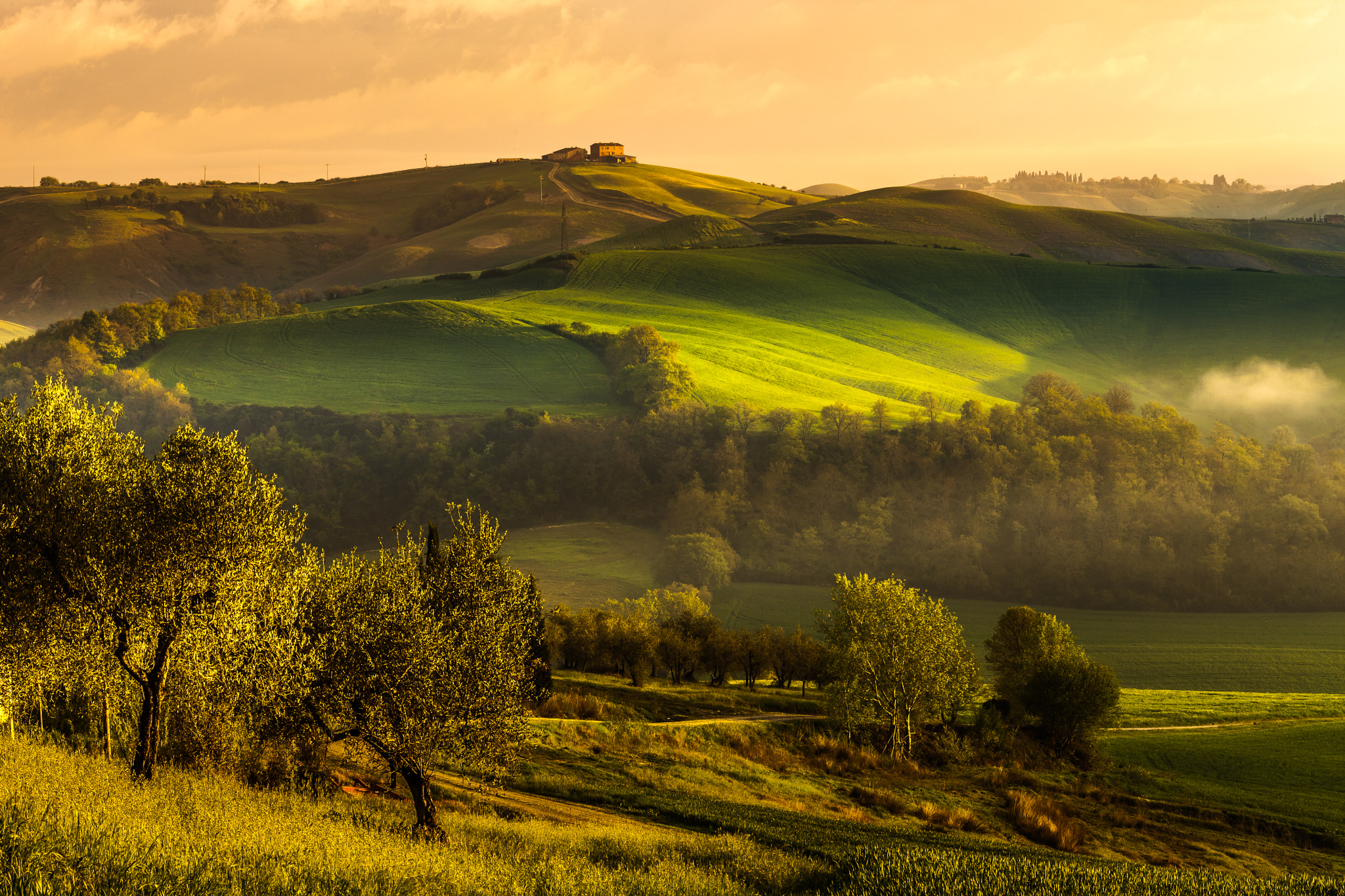 Canon EF 70-200mm F4L IS USM sample photo. Morning in tuscany photography