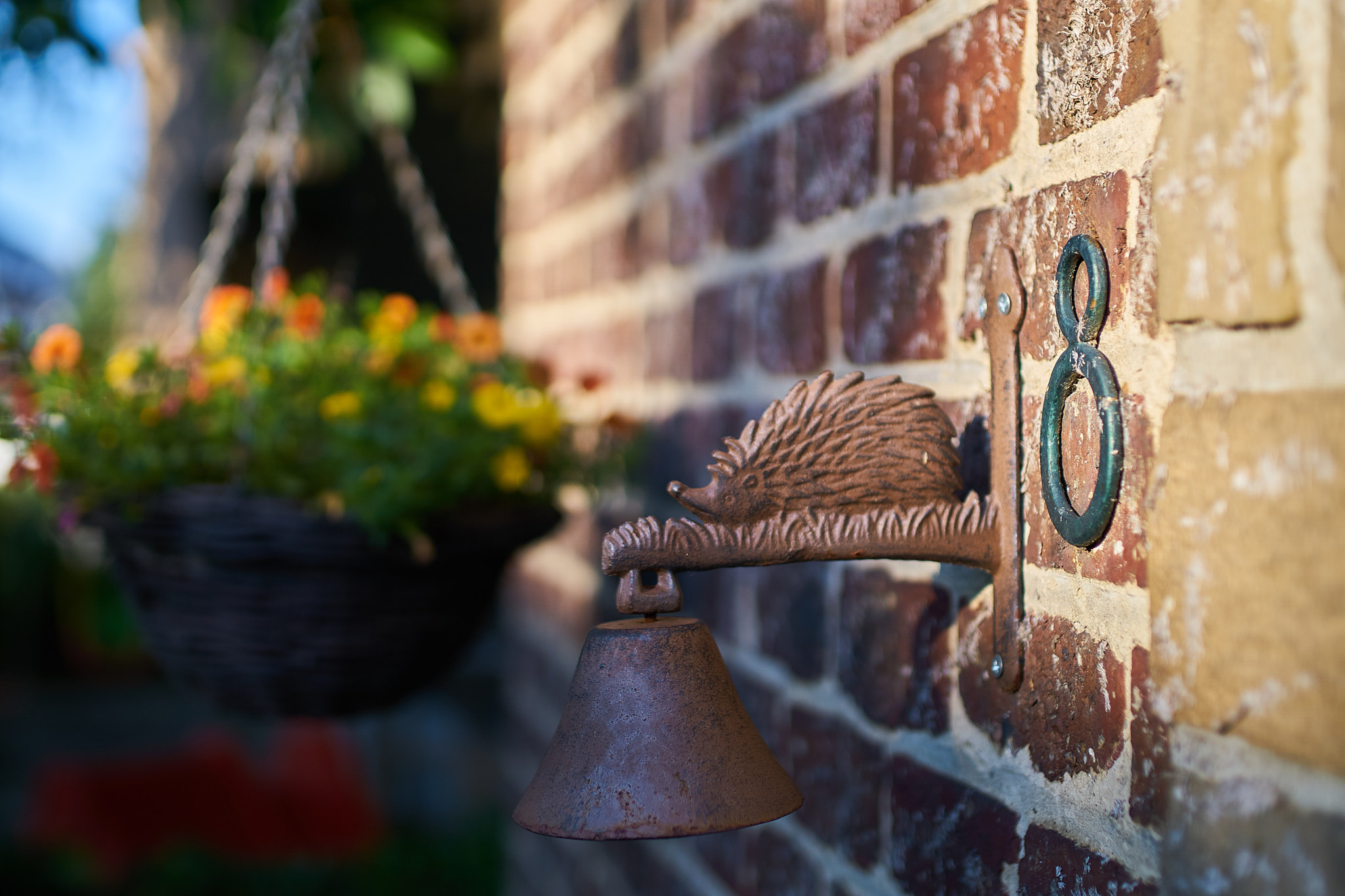 Sony ILCA-77M2 + 35mm F1.4 sample photo. Number 8 photography