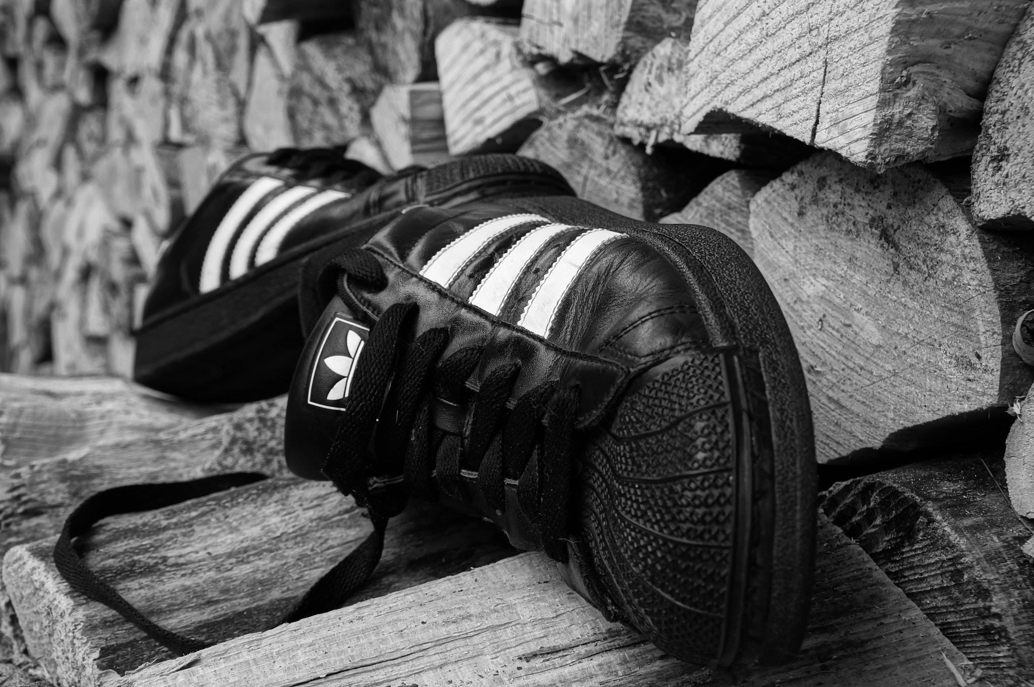 Sony DT 18-200mm F3.5-6.3 sample photo. Oldstars photography