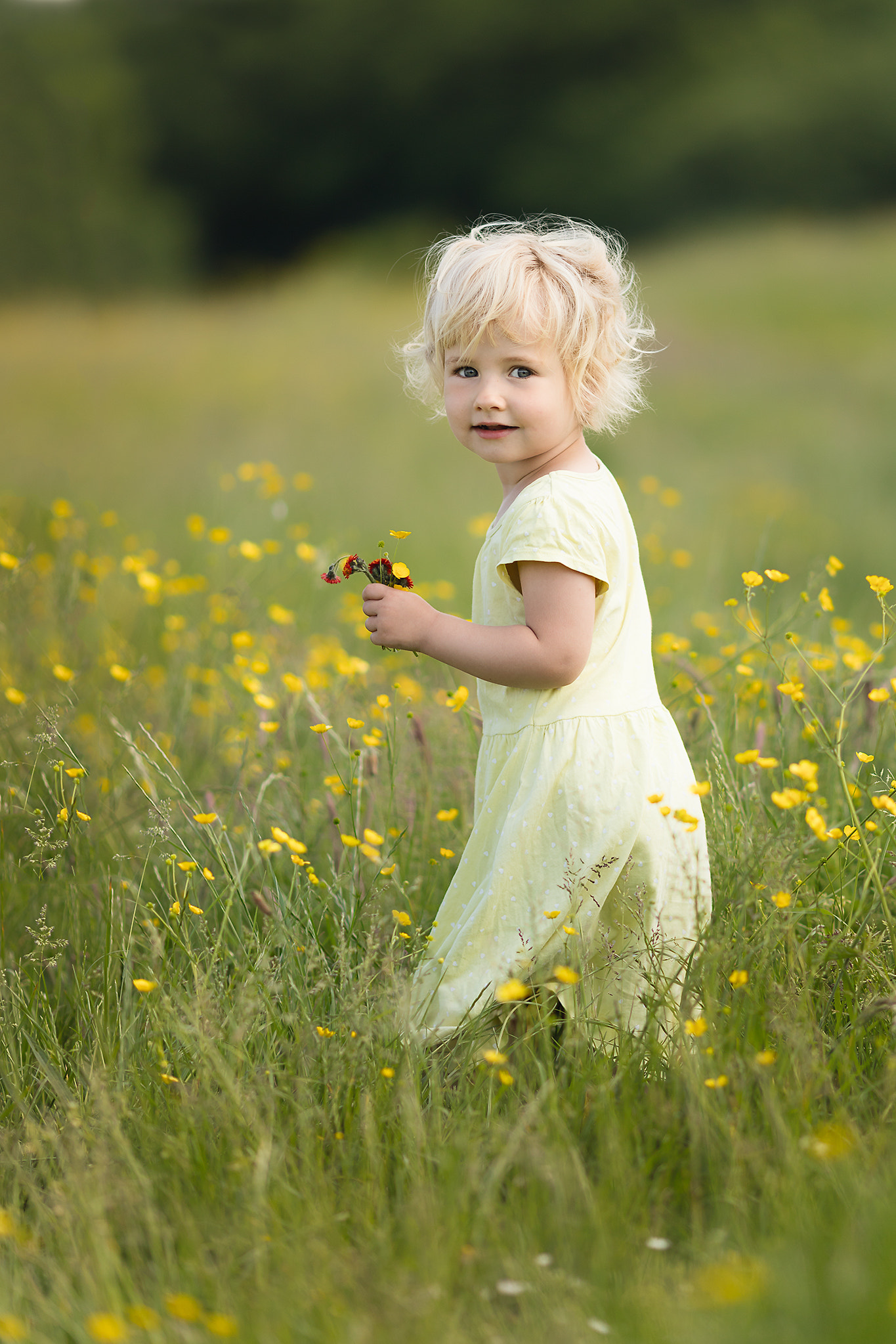 Canon EOS 5DS + Canon EF 135mm F2L USM sample photo. C photography