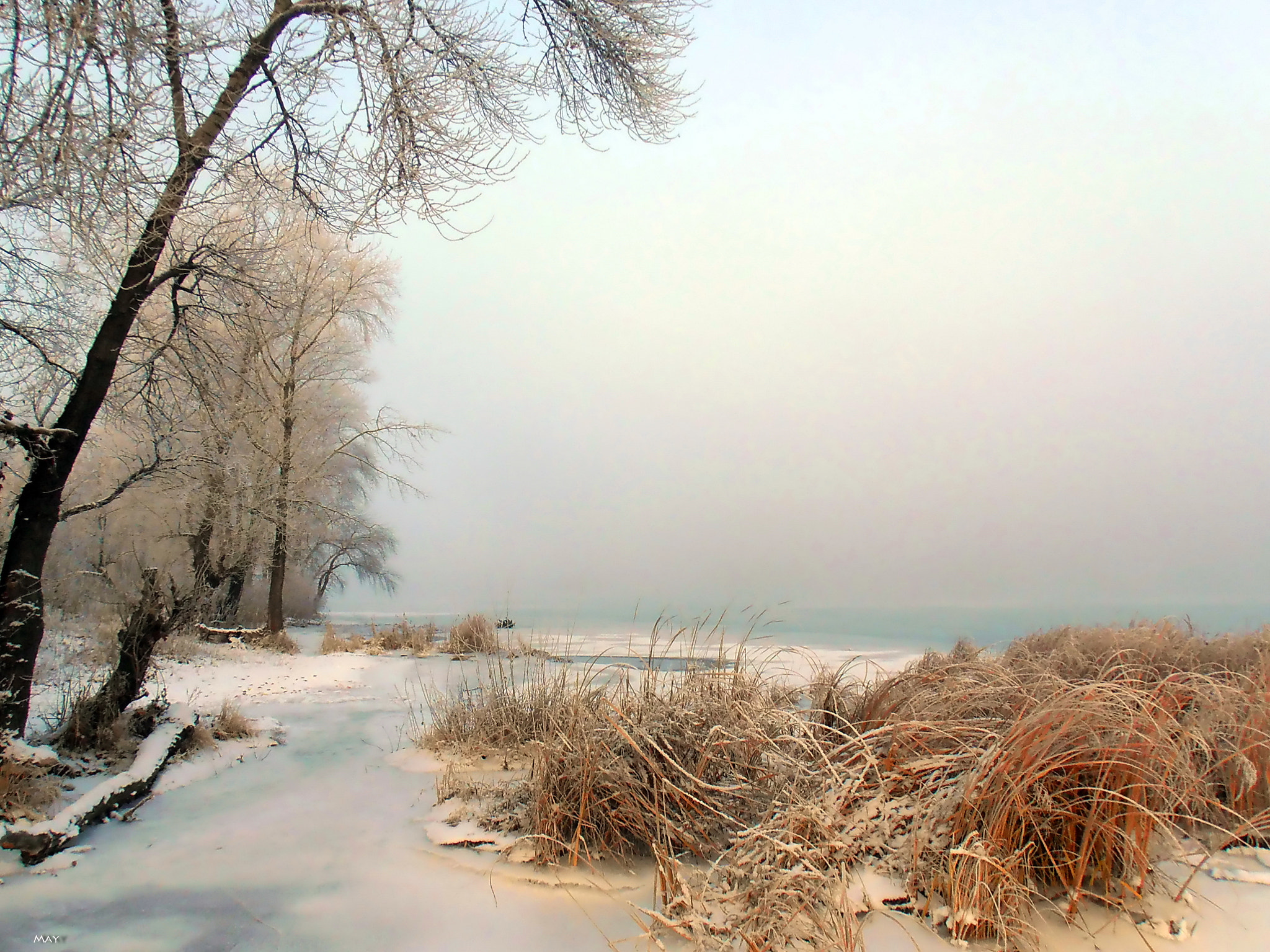 Olympus VR310,D720 sample photo. Frosty morning.. photography
