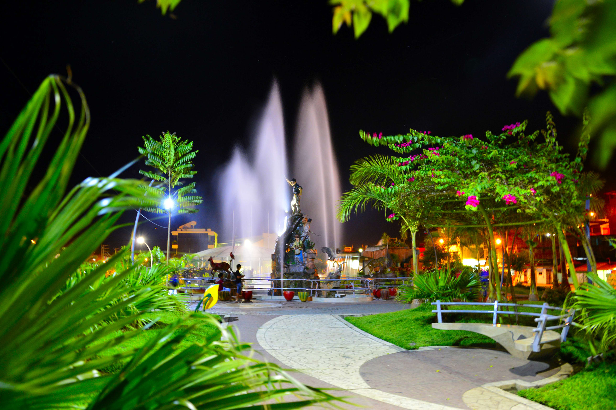 Nikon D4 sample photo. 15885699392.jpg photography