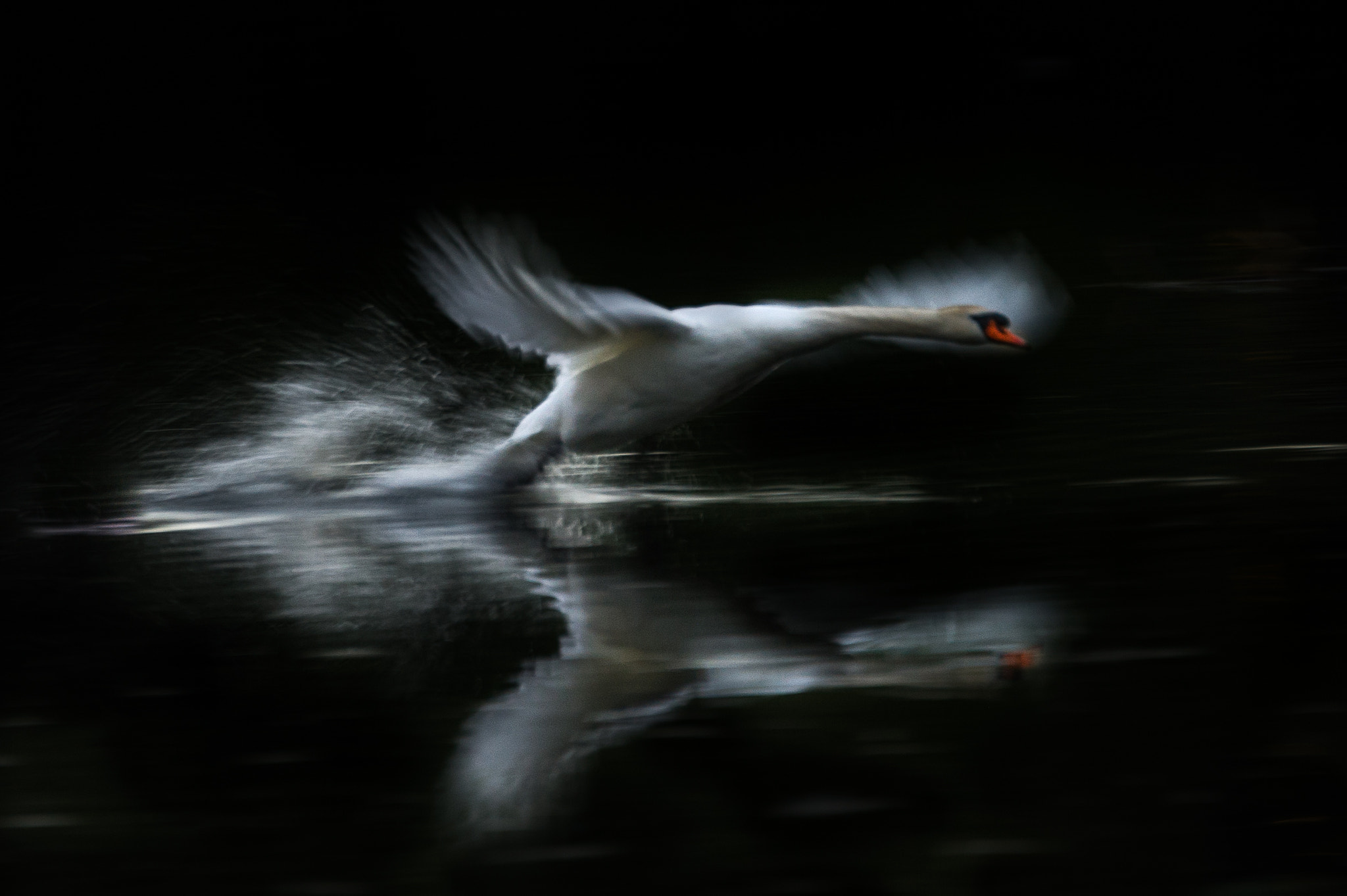 Nikon D3S sample photo. Take off by midnight photography
