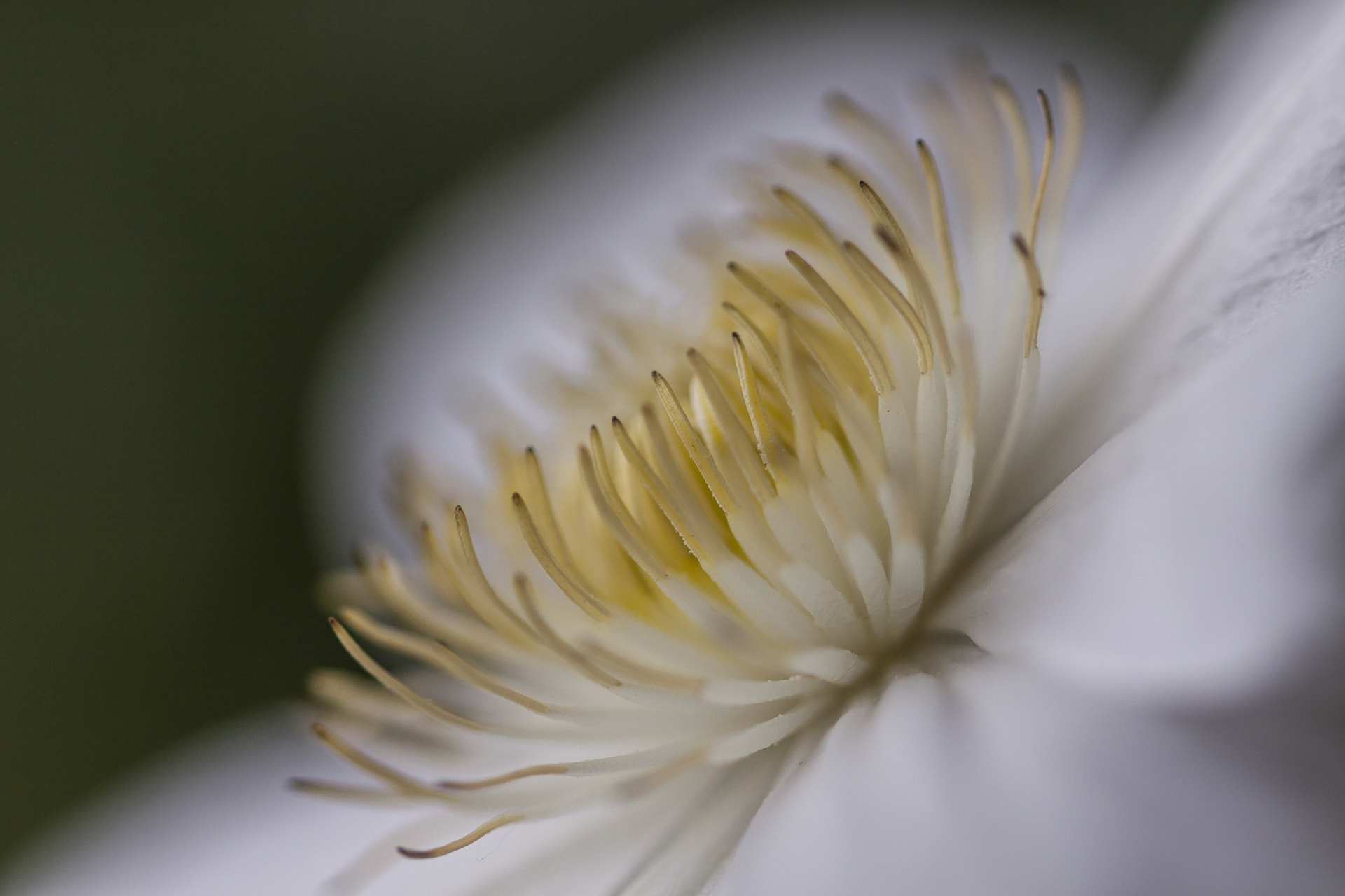 Sigma 105mm F2.8 EX DG OS HSM sample photo