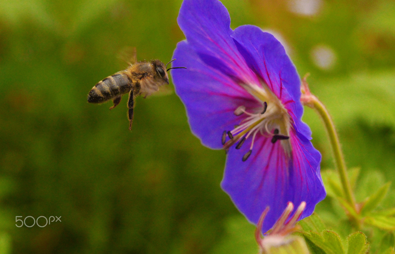 Canon EF 28-80mm f/3.5-5.6 sample photo. Visitor photography