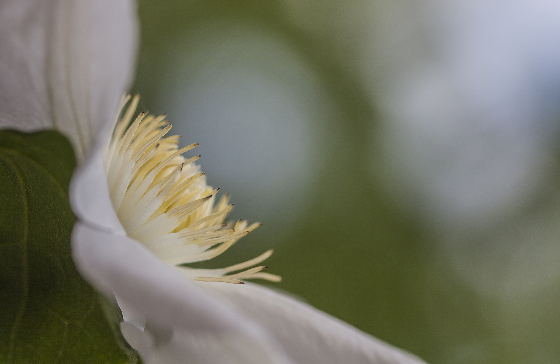 Sigma 105mm F2.8 EX DG OS HSM sample photo