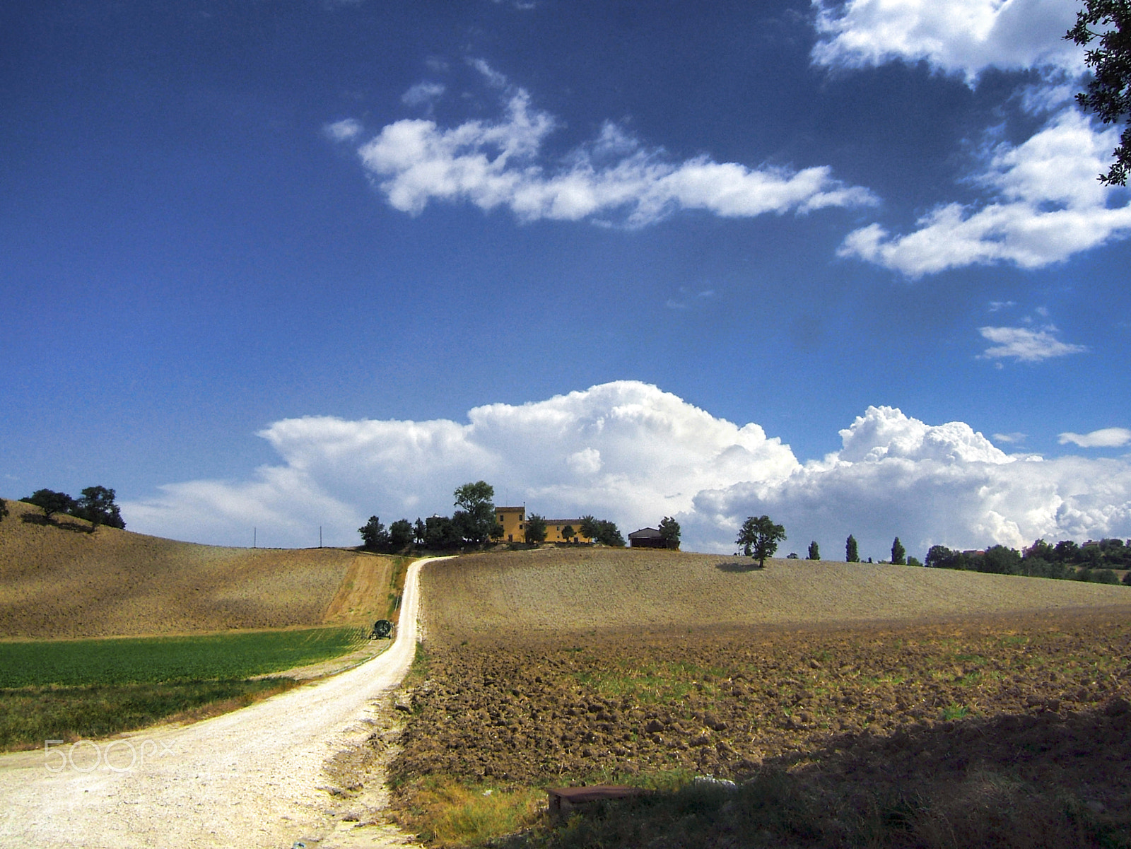 Fujifilm FinePix E550 sample photo. Campagna di cingoli photography