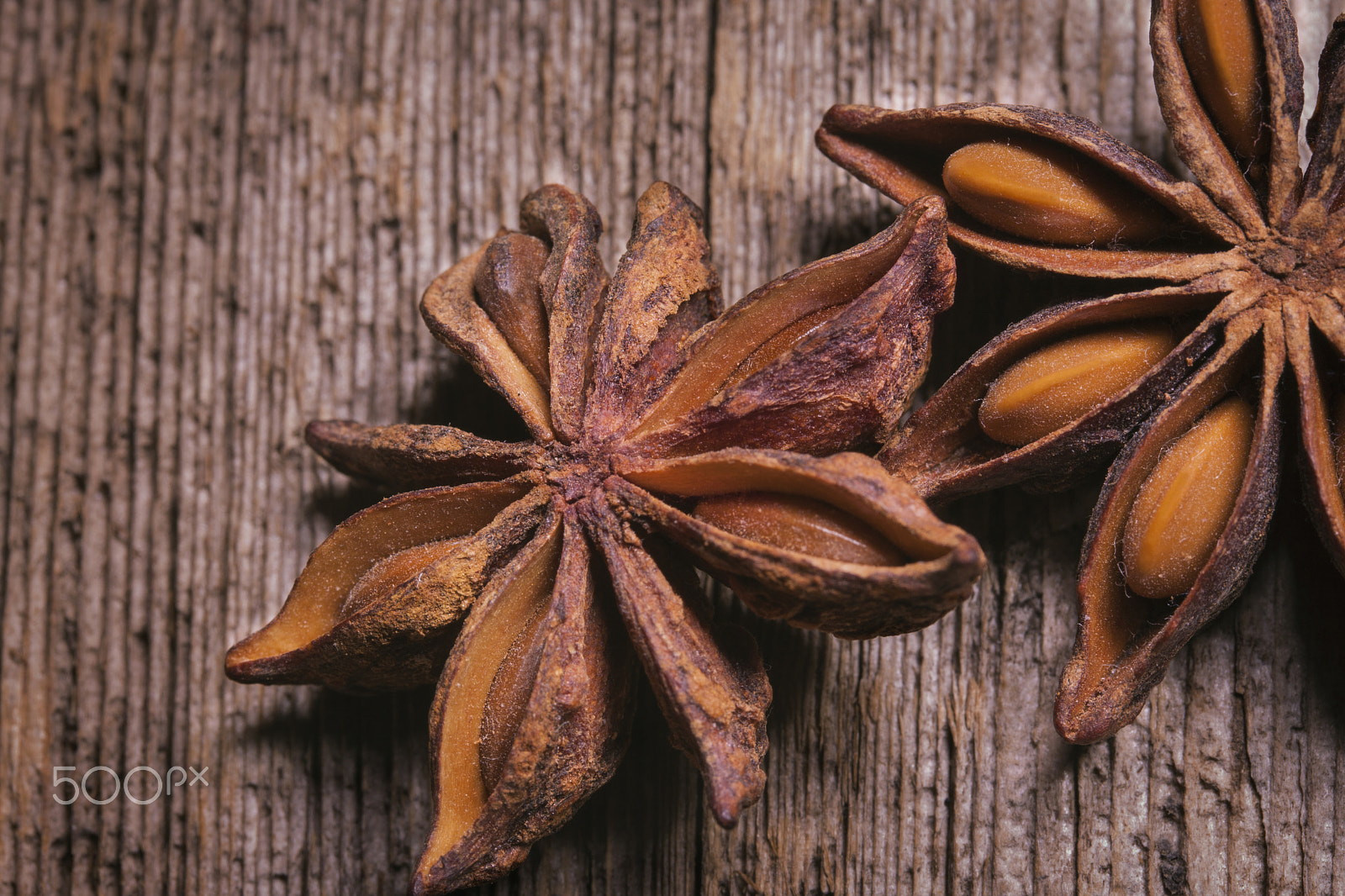 Canon EF-S 60mm F2.8 Macro USM sample photo. Anis.jpg photography