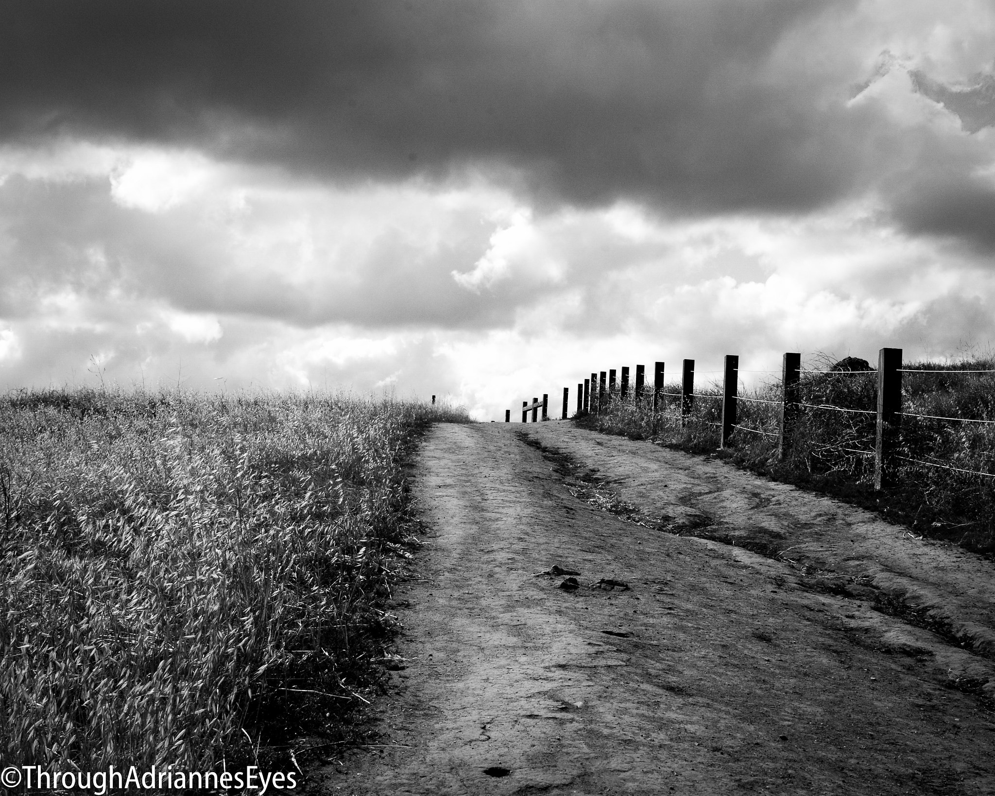 Tamron SP 24-70mm F2.8 Di VC USD sample photo. Back roads photography
