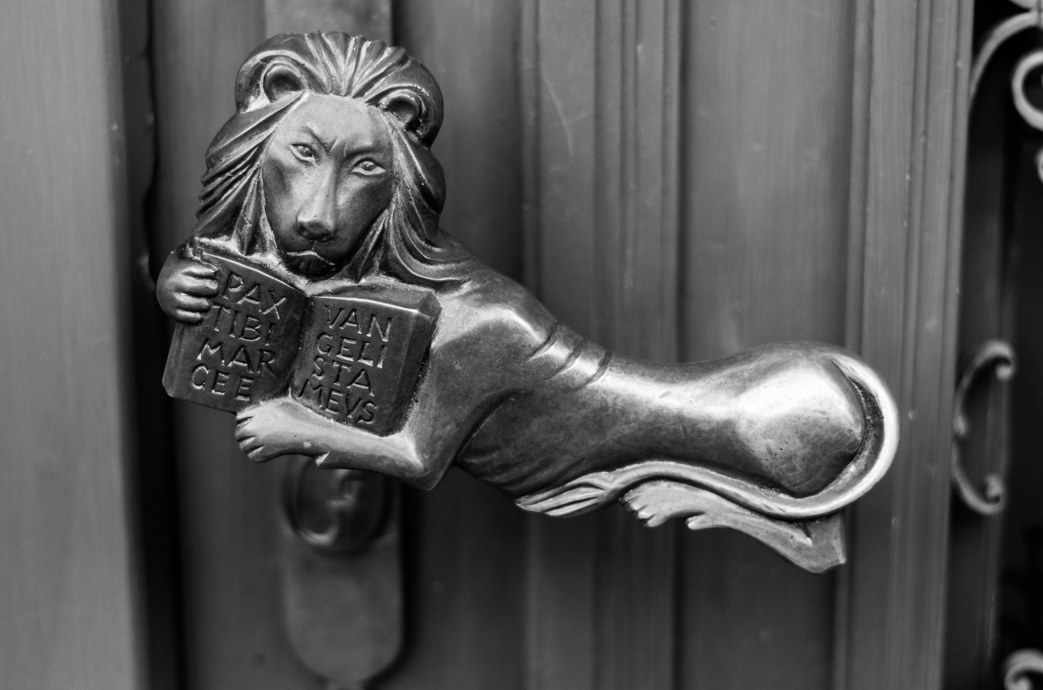 Pentax K-5 II + Pentax smc DA 50mm F1.8 sample photo. Lion door hamdle photography