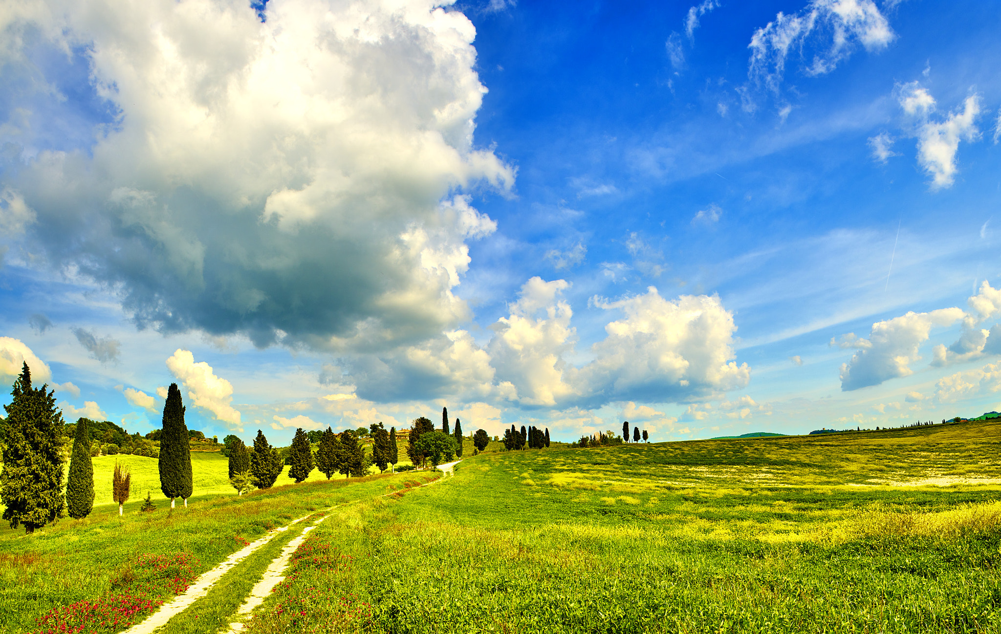 24-70mm F2.8 sample photo. Big sky tuscany photography