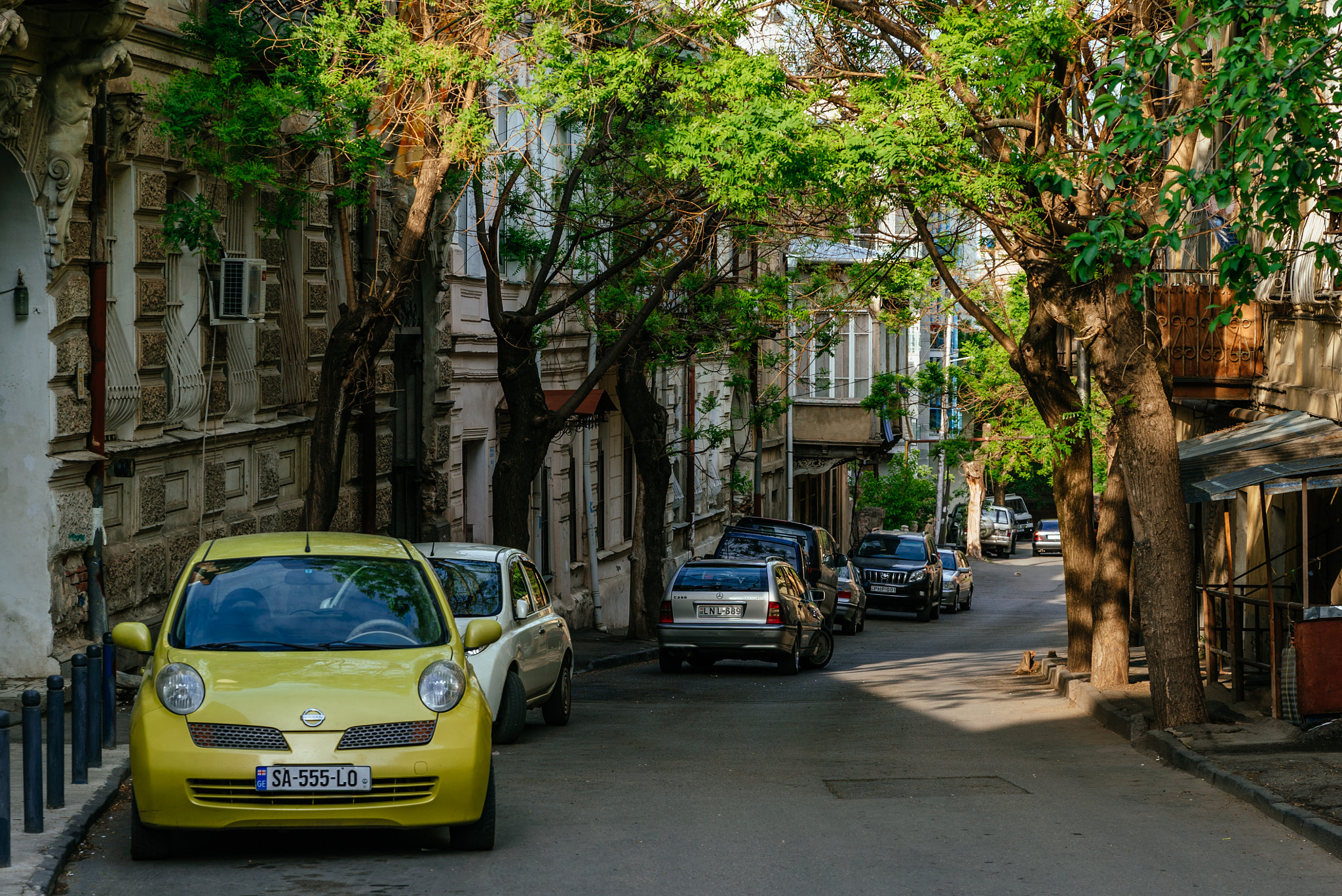 Sony a7S + Sony 70-400mm F4-5.6 G SSM sample photo. Tbilisi photography