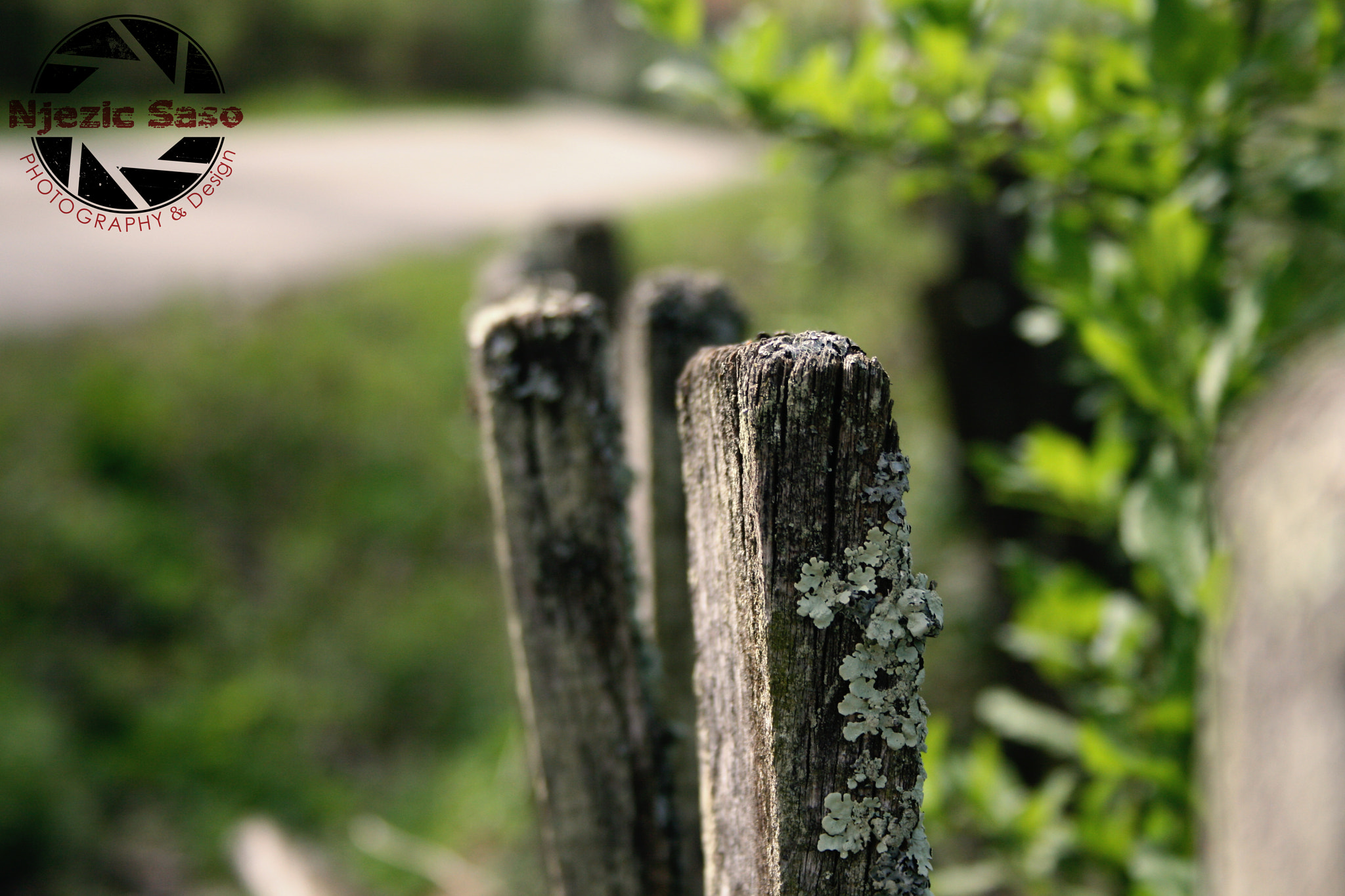 Canon EF-S 18-55mm F3.5-5.6 sample photo. Fence photography