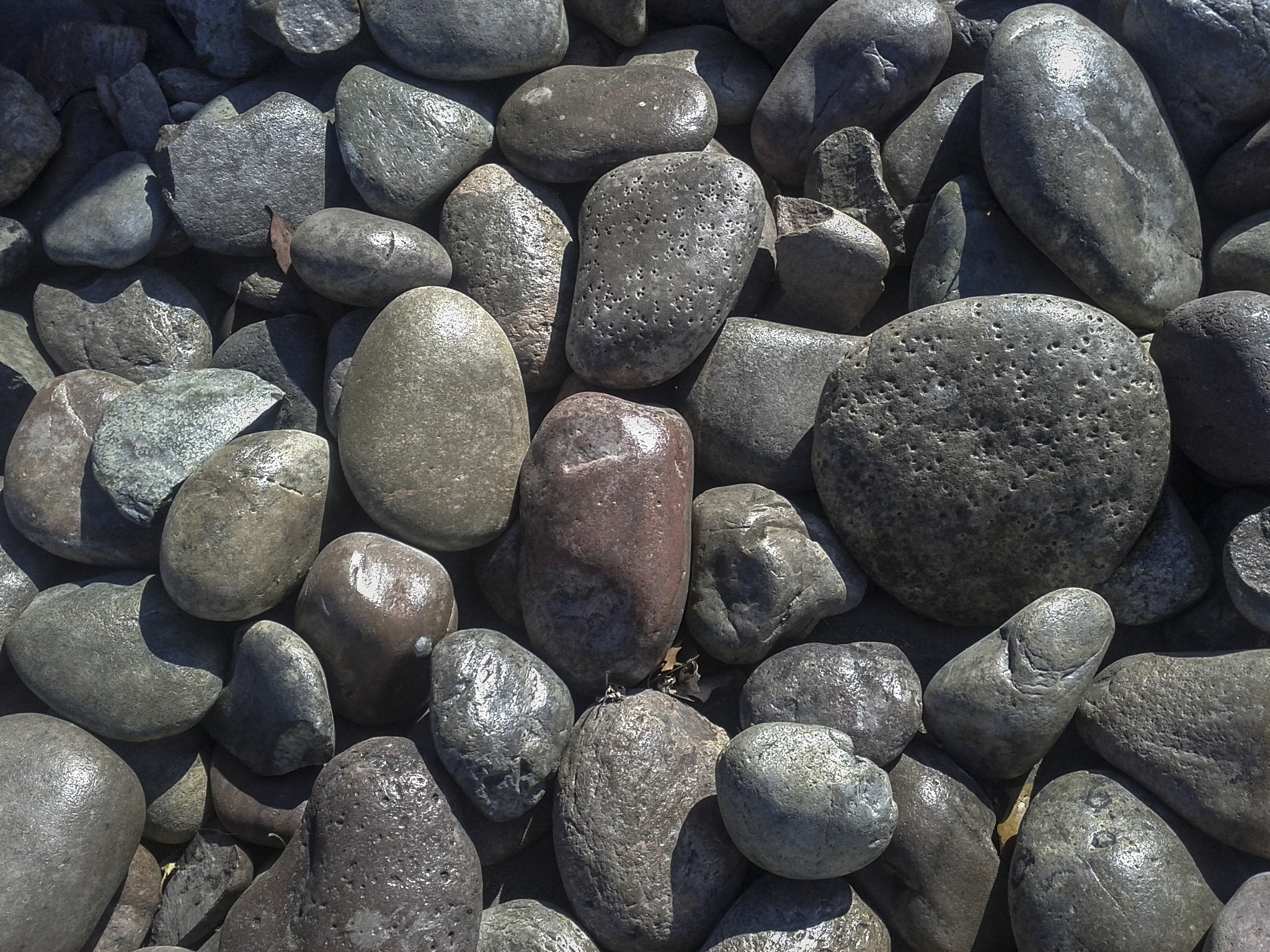 Google Nexus S sample photo. Tsu ns photography