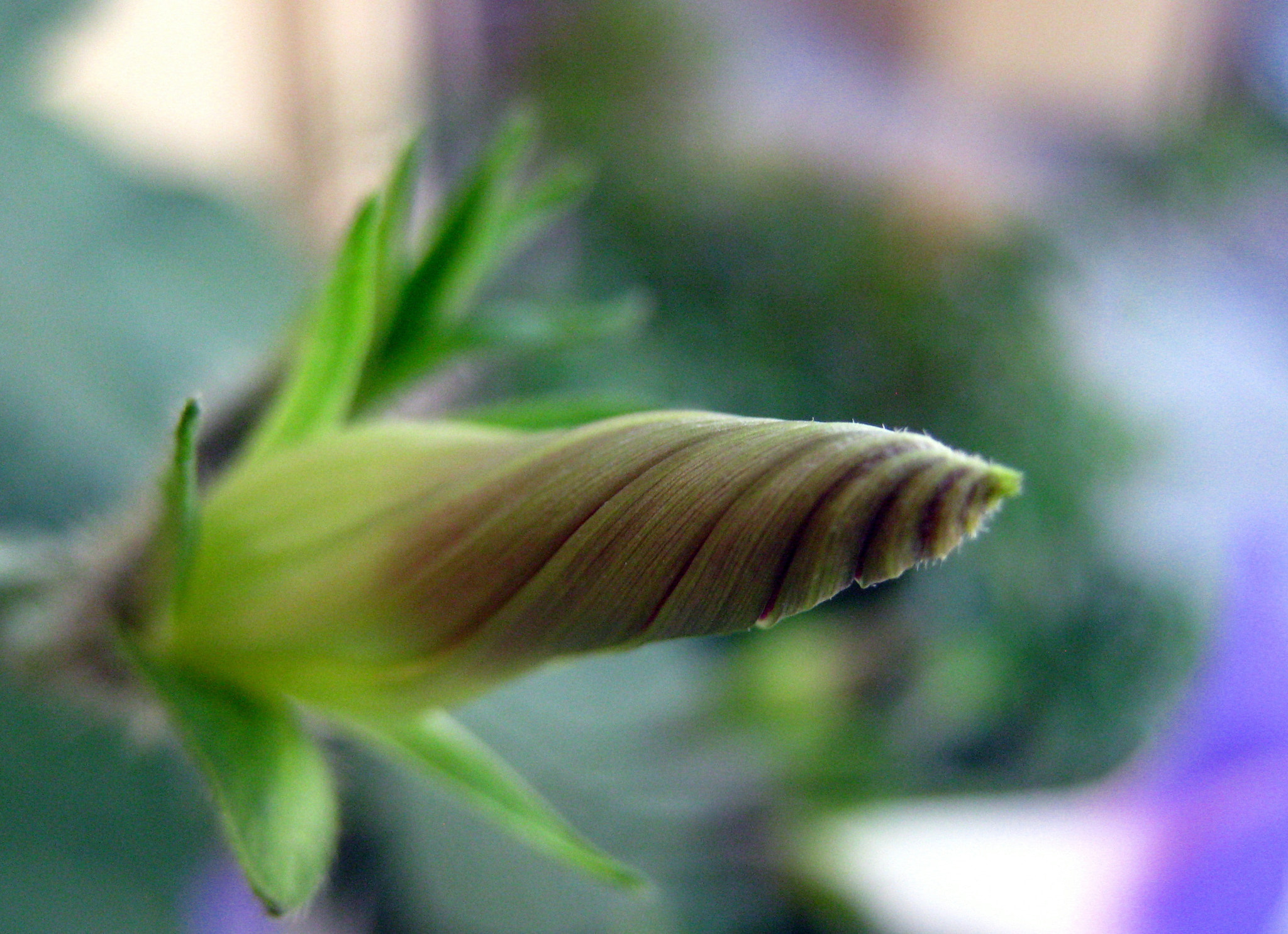 Canon PowerShot SD890 IS (Digital IXUS 970 IS / IXY Digital 820 IS) sample photo. 41-001-1.jpg photography