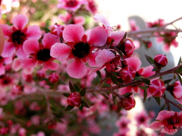 Canon PowerShot SD890 IS (Digital IXUS 970 IS / IXY Digital 820 IS) sample photo. Img_0017-001-1.jpg photography
