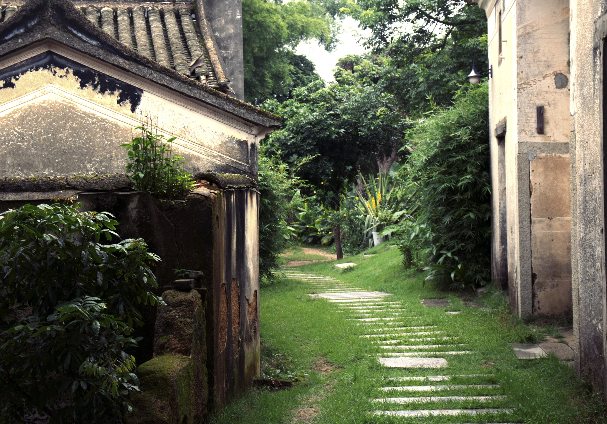 Sigma 17-70mm F2.8-4 DC Macro OS HSM sample photo. Path to backyard photography