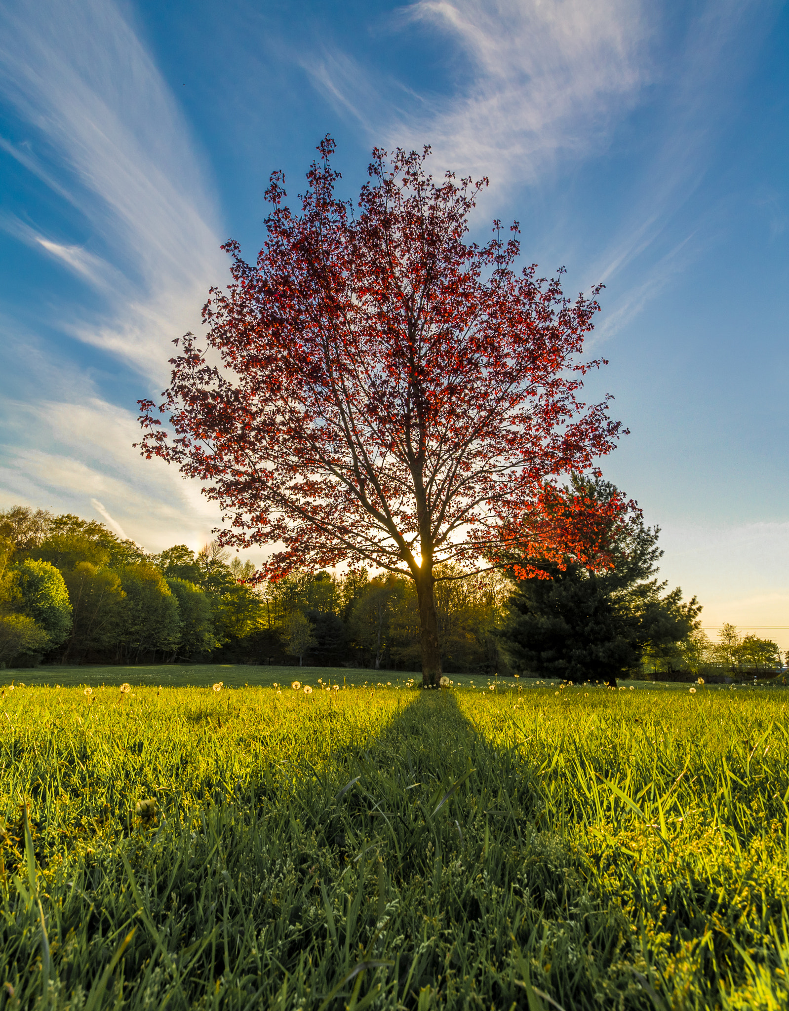 Canon EF-S 10-18mm F4.5–5.6 IS STM sample photo. Hdr edit photography