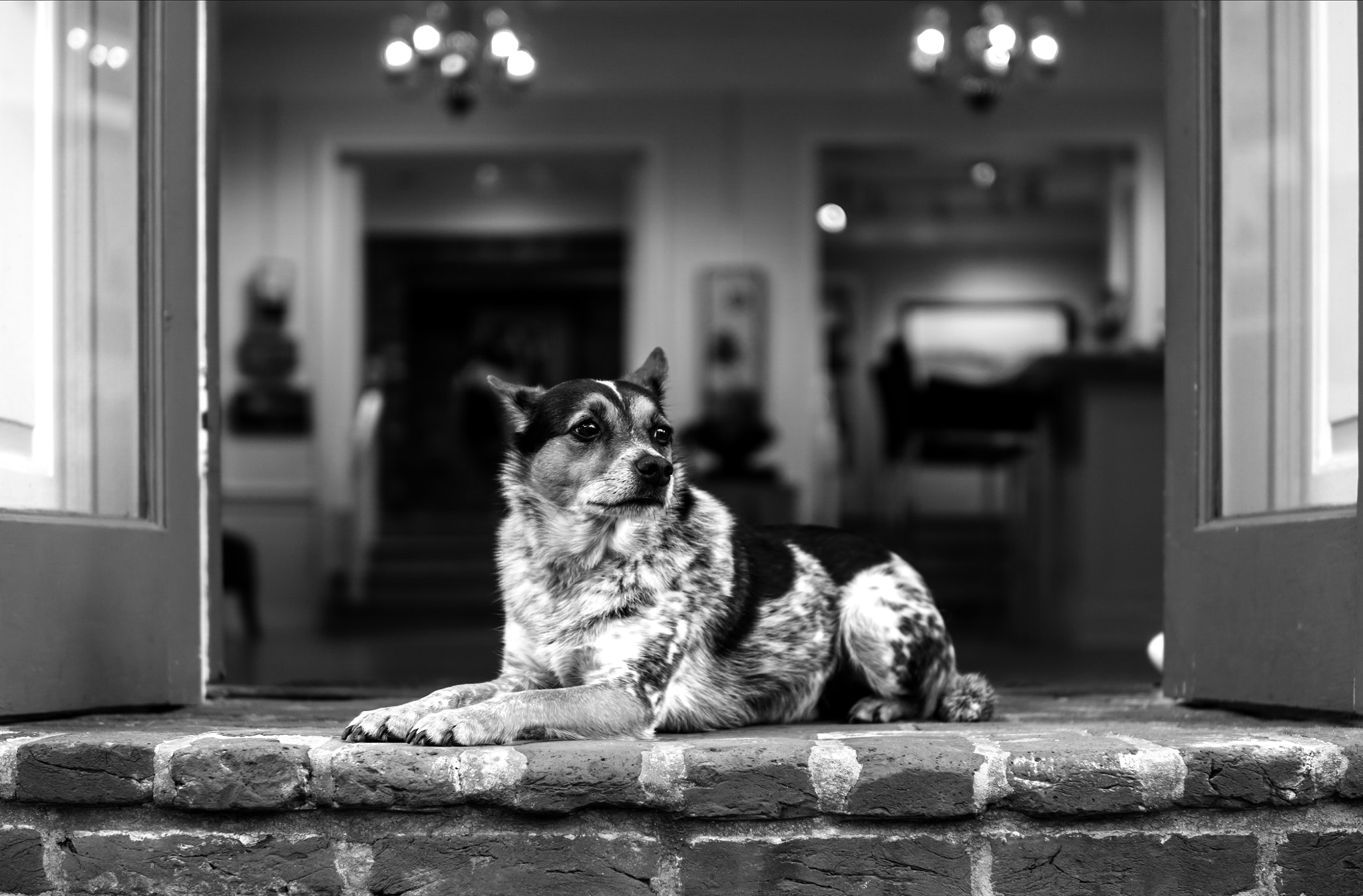 E 30mm F1.4 sample photo. The greeter photography