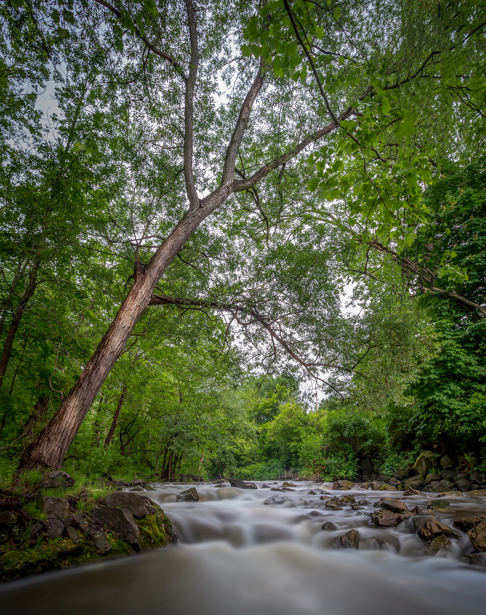 Canon EF-S 10-18mm F4.5–5.6 IS STM sample photo. Hdr edit photography