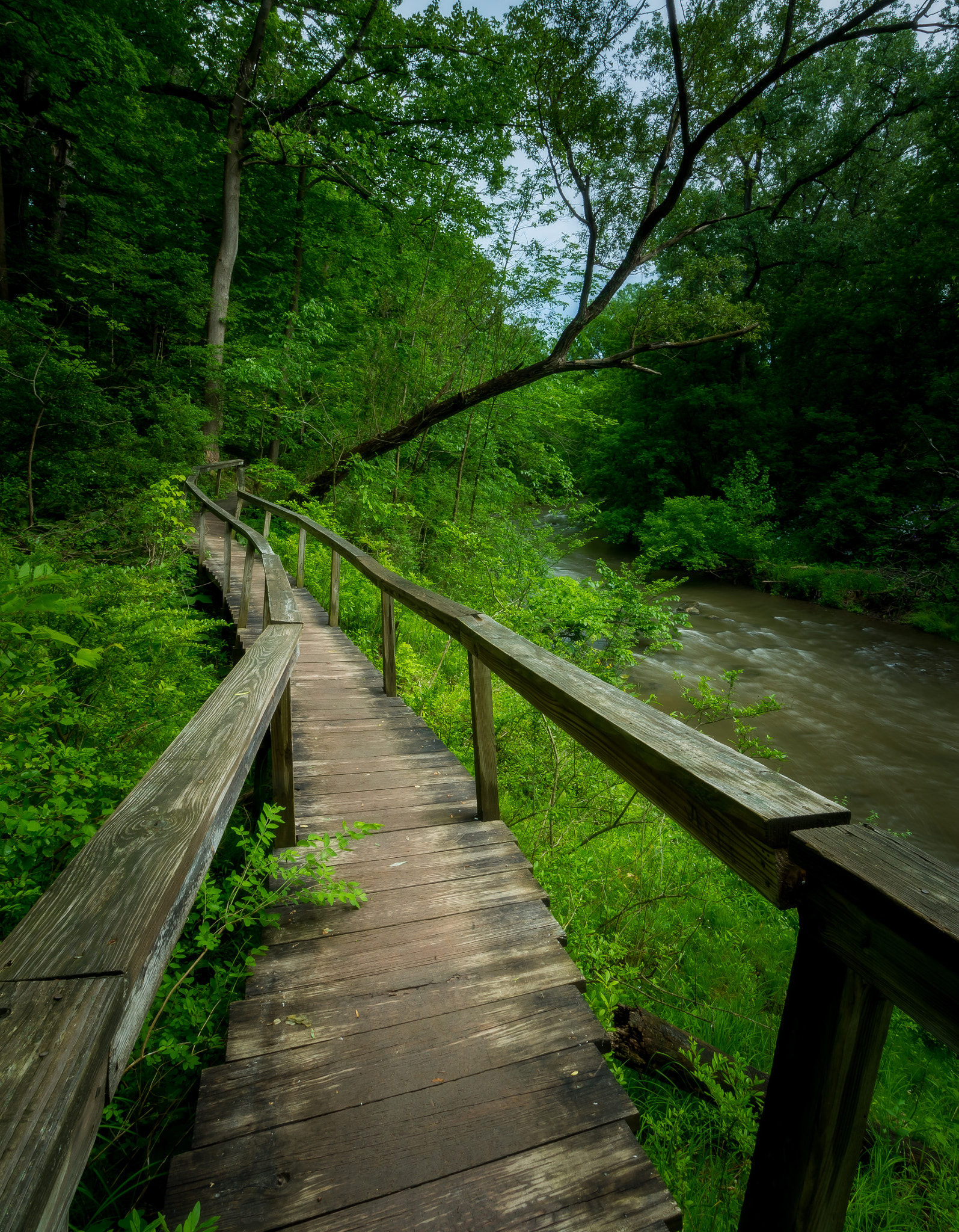 Canon EF-S 10-18mm F4.5–5.6 IS STM sample photo. Hdr edit photography