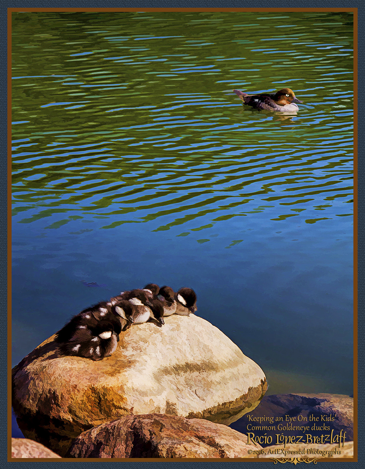 Sigma 70-300mm F4-5.6 APO DG Macro sample photo. 'keeping an eye on the kids' photography