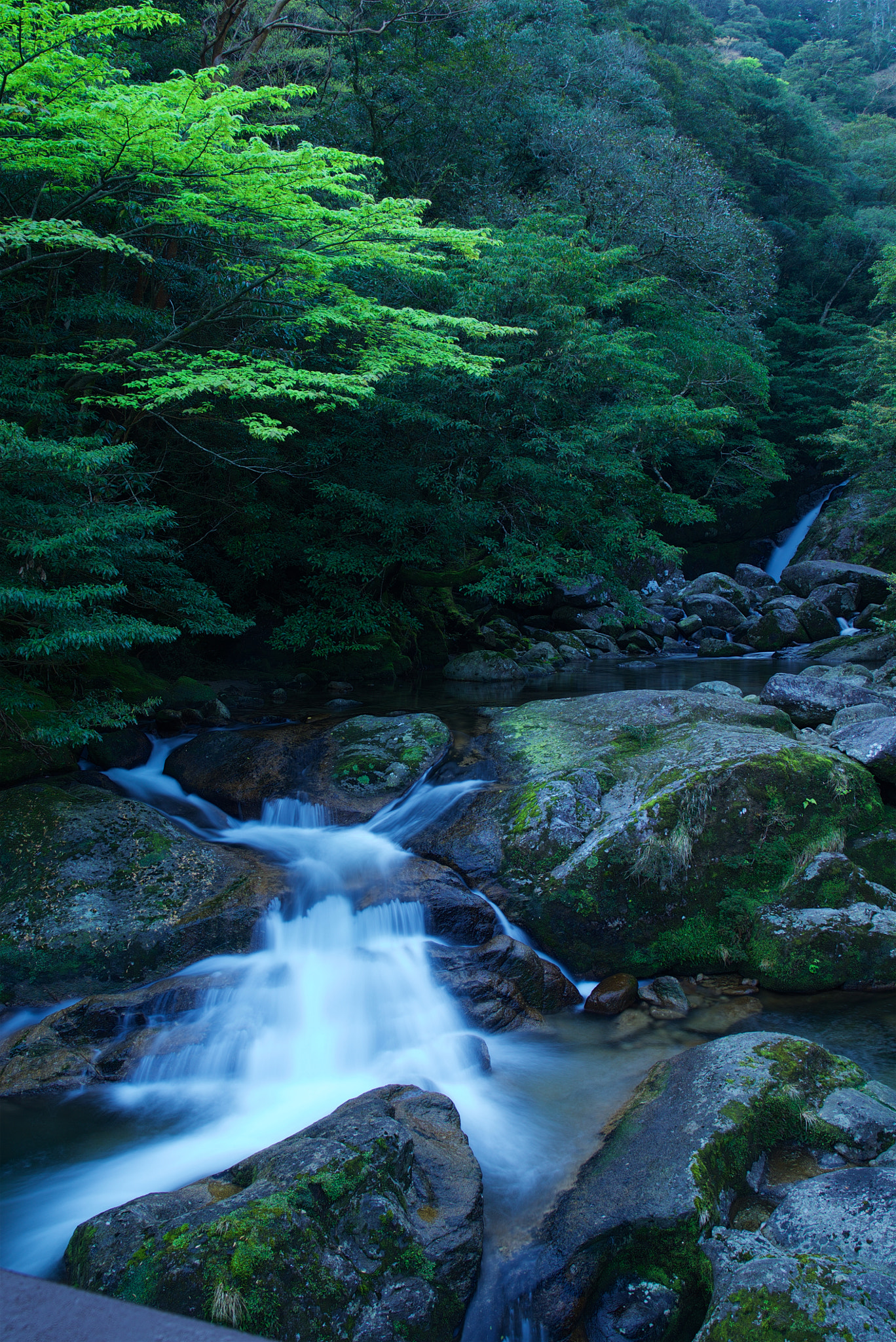 Sony Vario Tessar T* FE 24-70mm F4 ZA OSS sample photo. A torrent of yakushima, japan photography