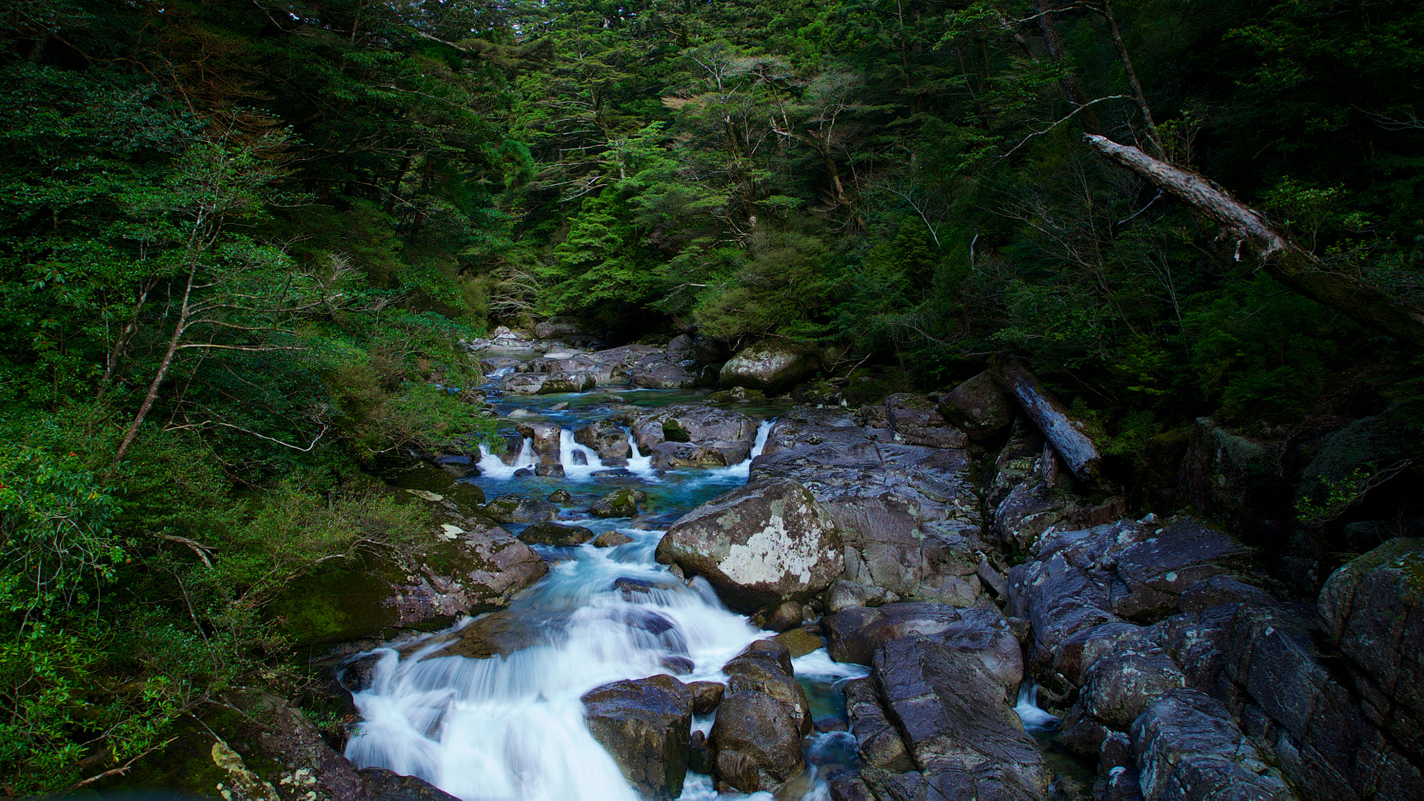 Sony a7S + Sony Vario Tessar T* FE 24-70mm F4 ZA OSS sample photo. A torrent of yakushima, japan photography