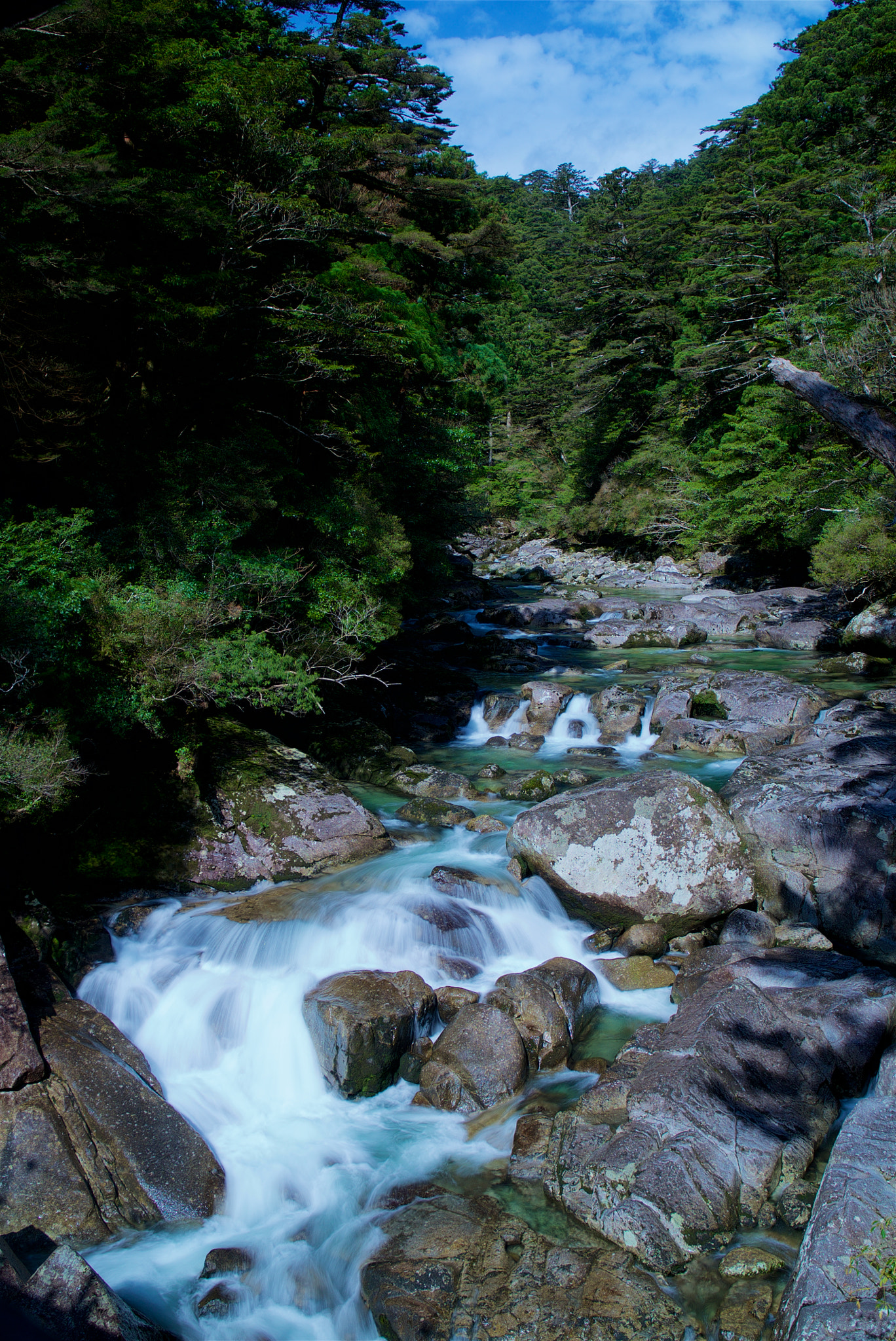 Sony a7S + Sony Vario Tessar T* FE 24-70mm F4 ZA OSS sample photo. A torrent of yakushima, japan photography