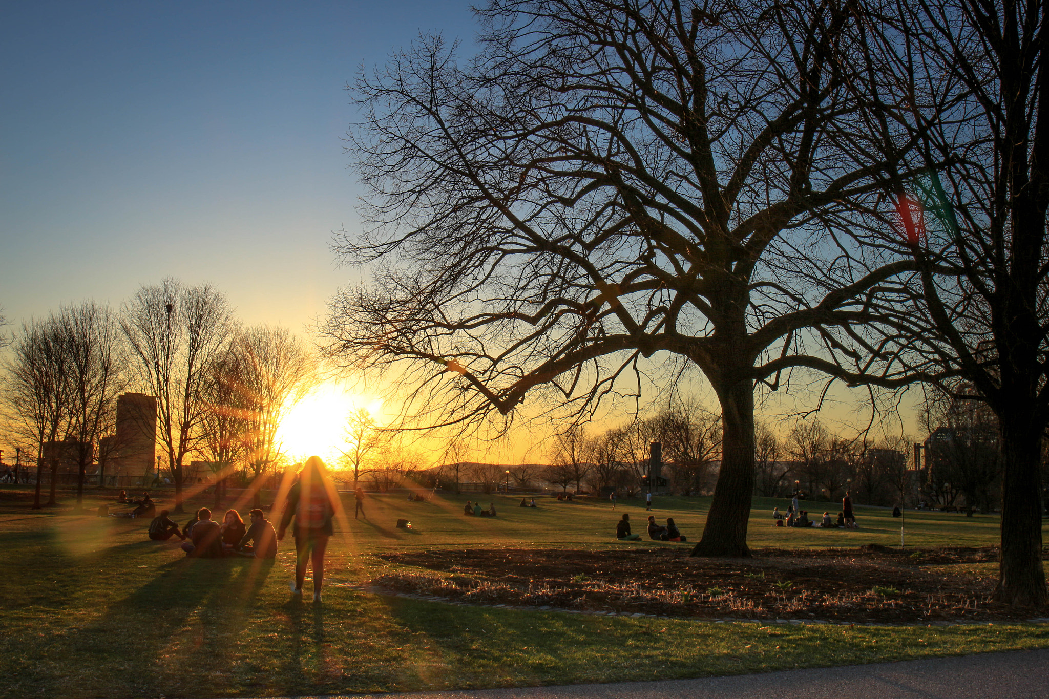 Canon EF 24-70mm F4L IS USM sample photo. Ottawa parc photography